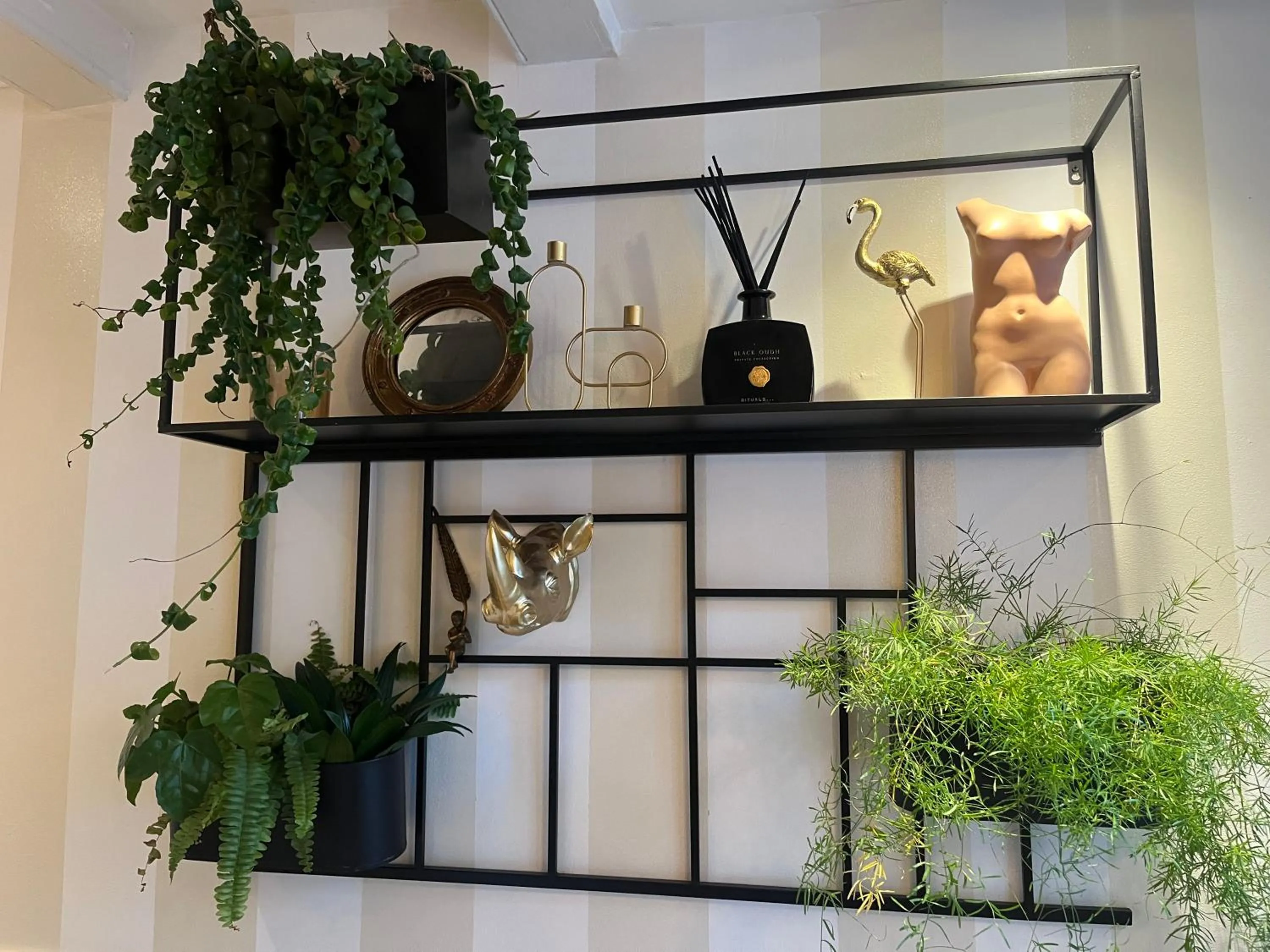 The Enlightened House Luxury Suites