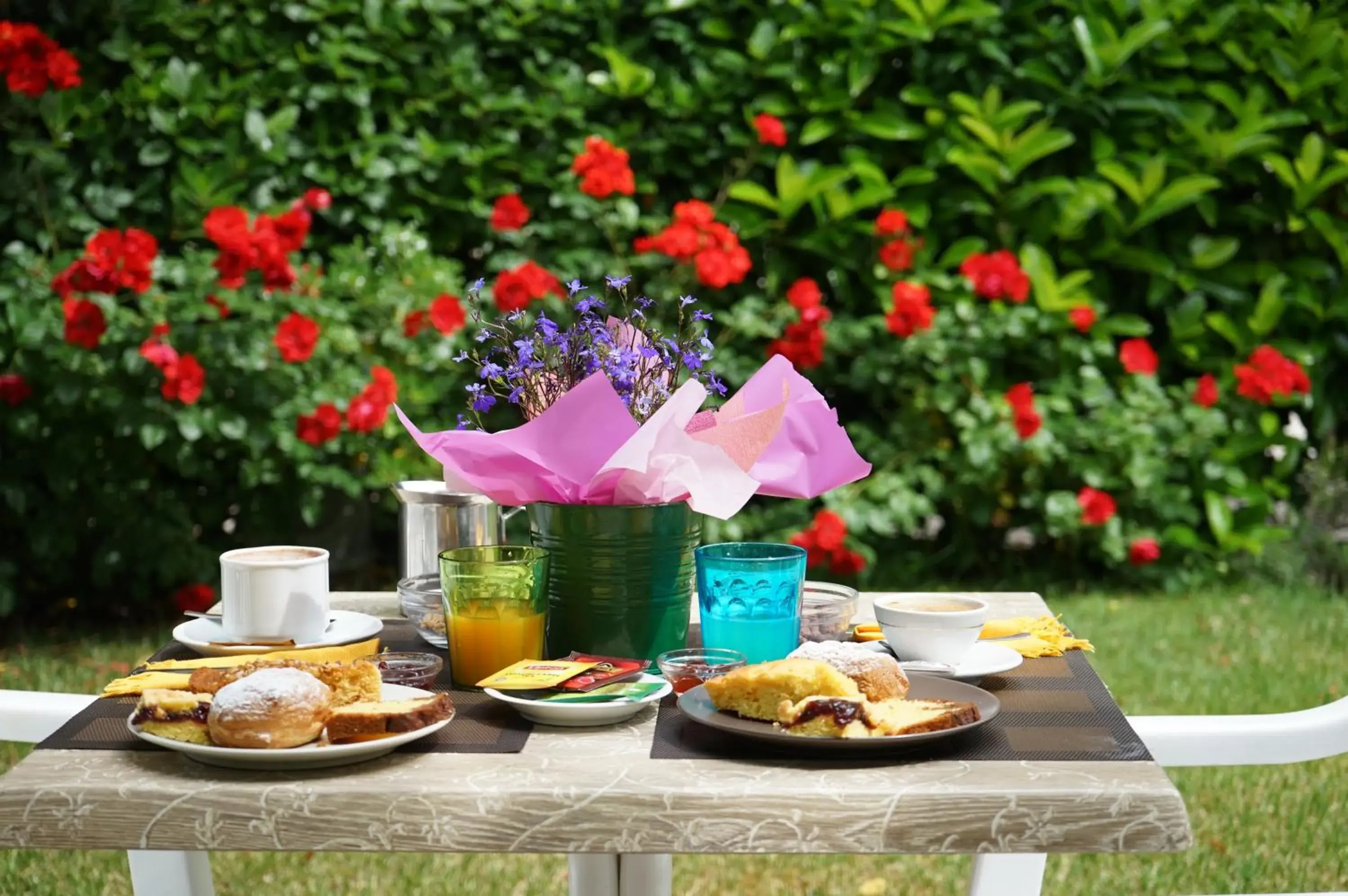 Garden in Hotel Villa Fulgida