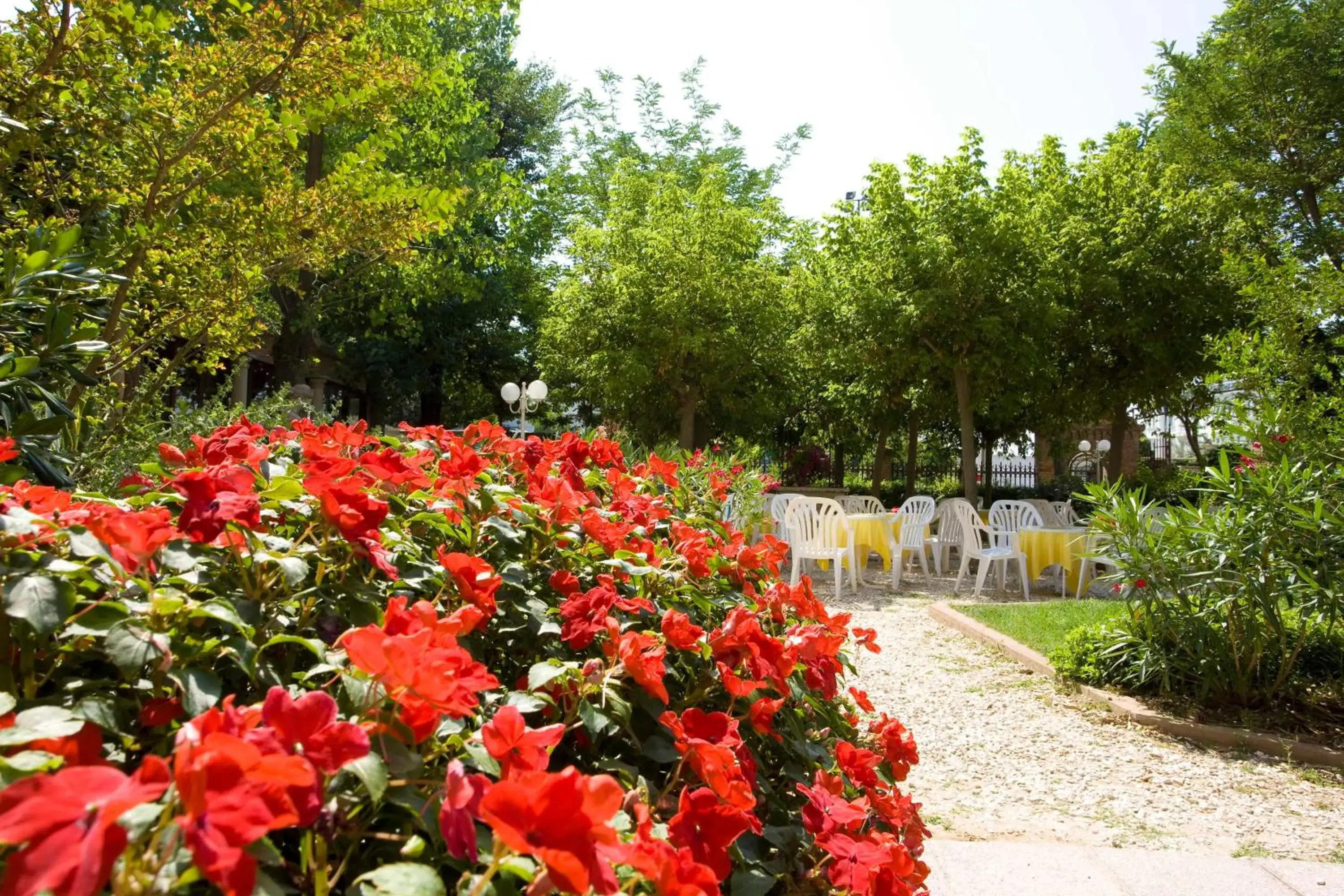 Garden in Hotel Villa Fulgida