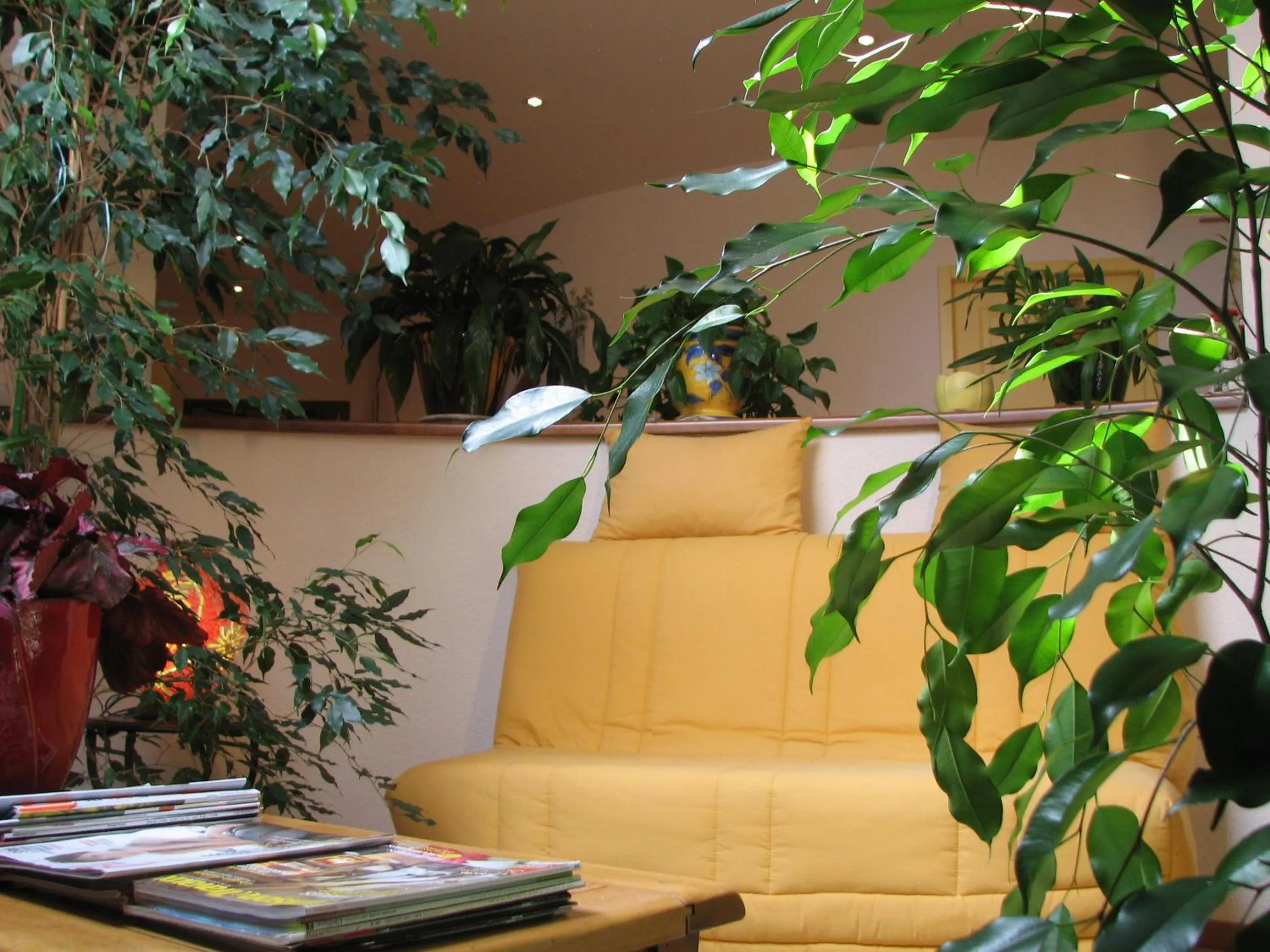 Lobby or reception in Le Pas de L'Ane Chambres d'hôtes