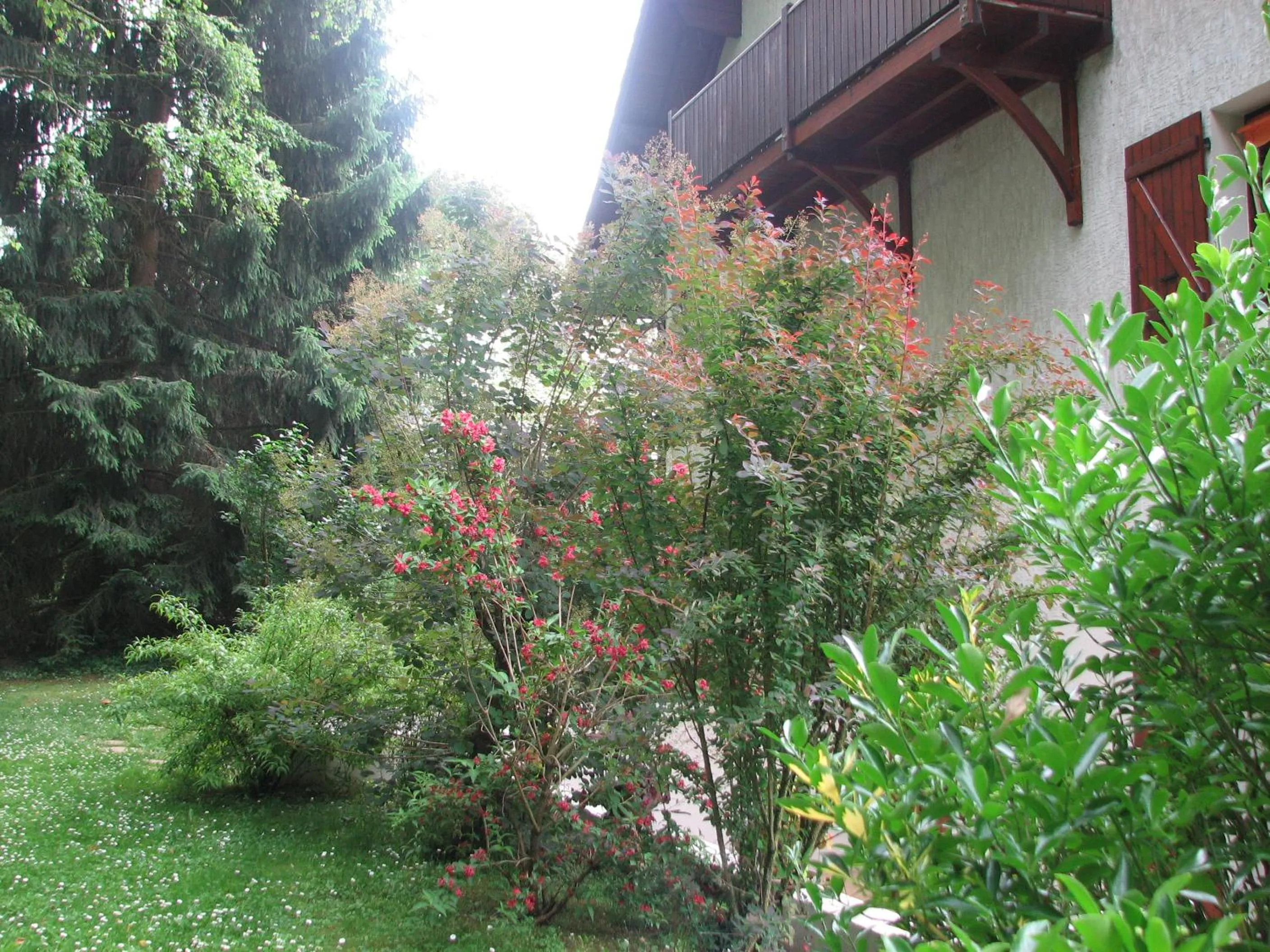 Garden view in Le Pas de L'Ane Chambres d'hôtes