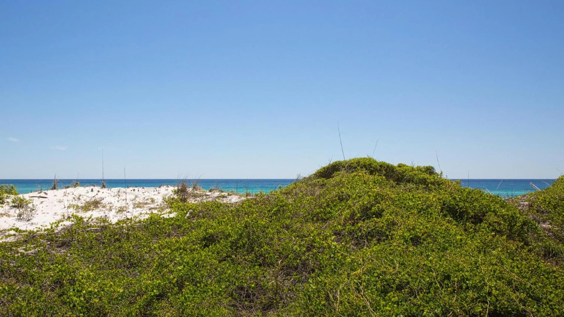Hidden Dunes Gulfside 502 - Gulf front and updated