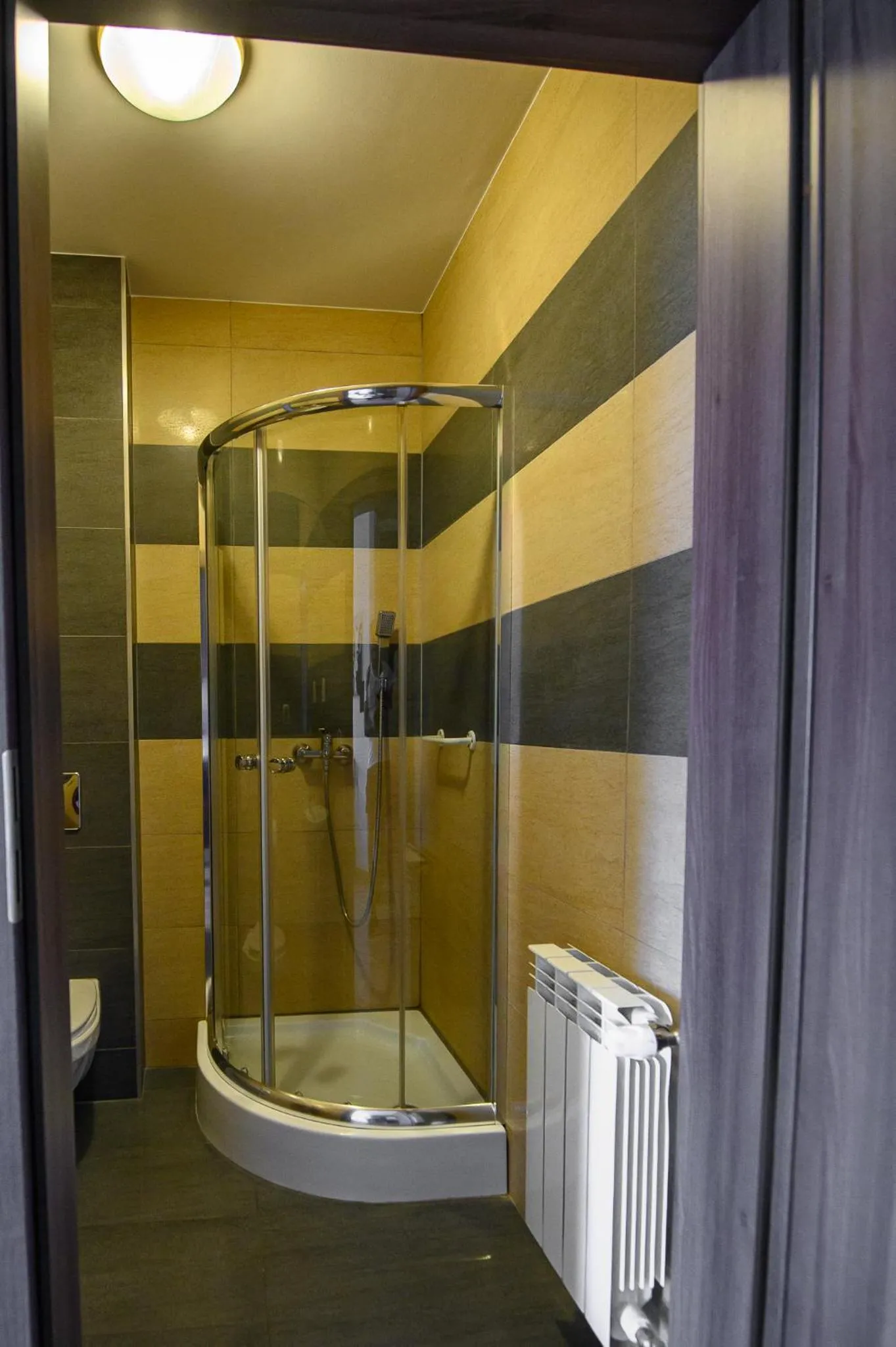 Shower in Hotel Restauracja Sara