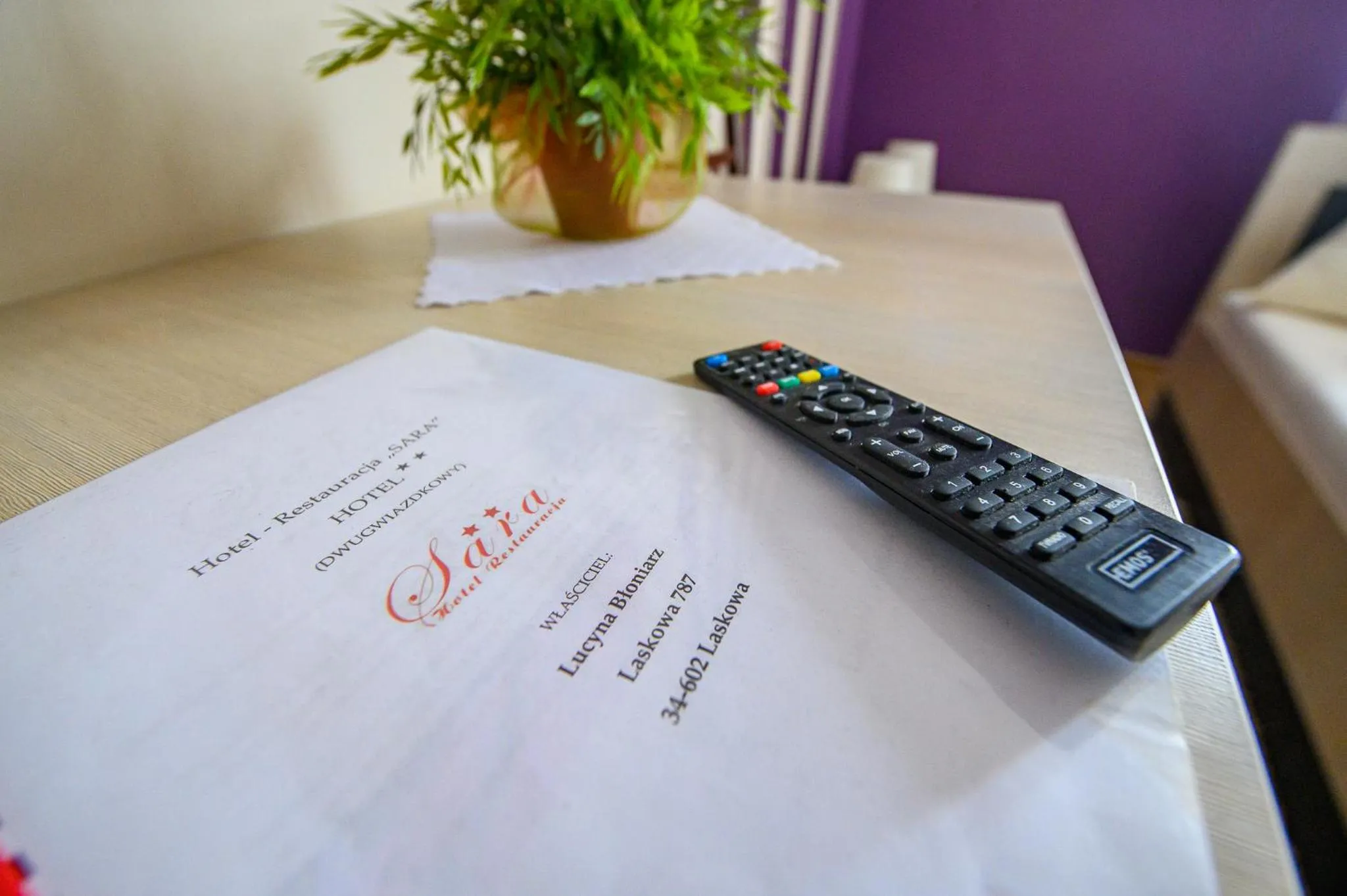 Decorative detail in Hotel Restauracja Sara