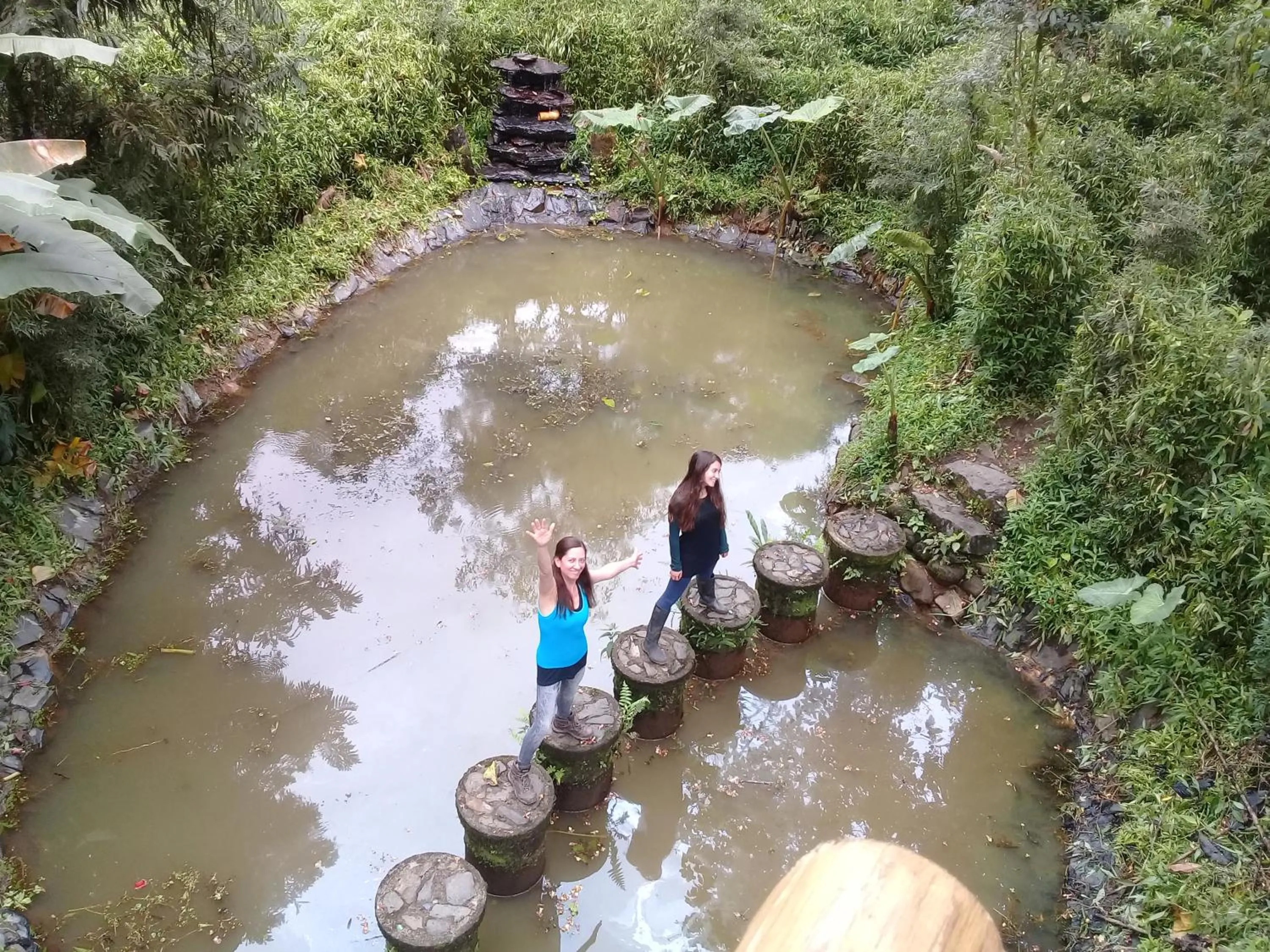 Garden in Hosteria La Roulotte - Mindo