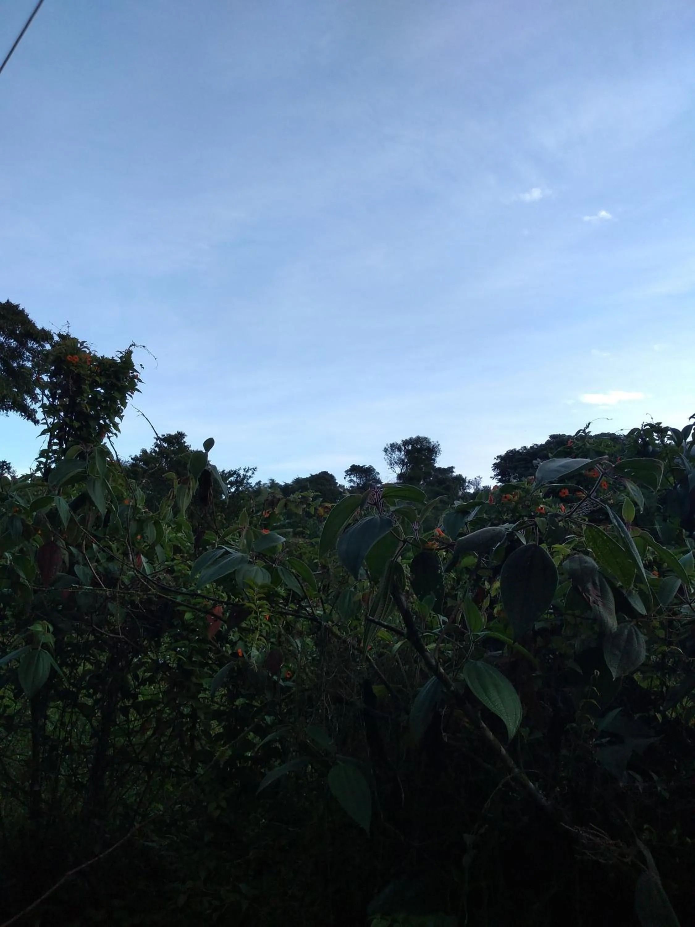 Mountain view in Hosteria La Roulotte - Mindo