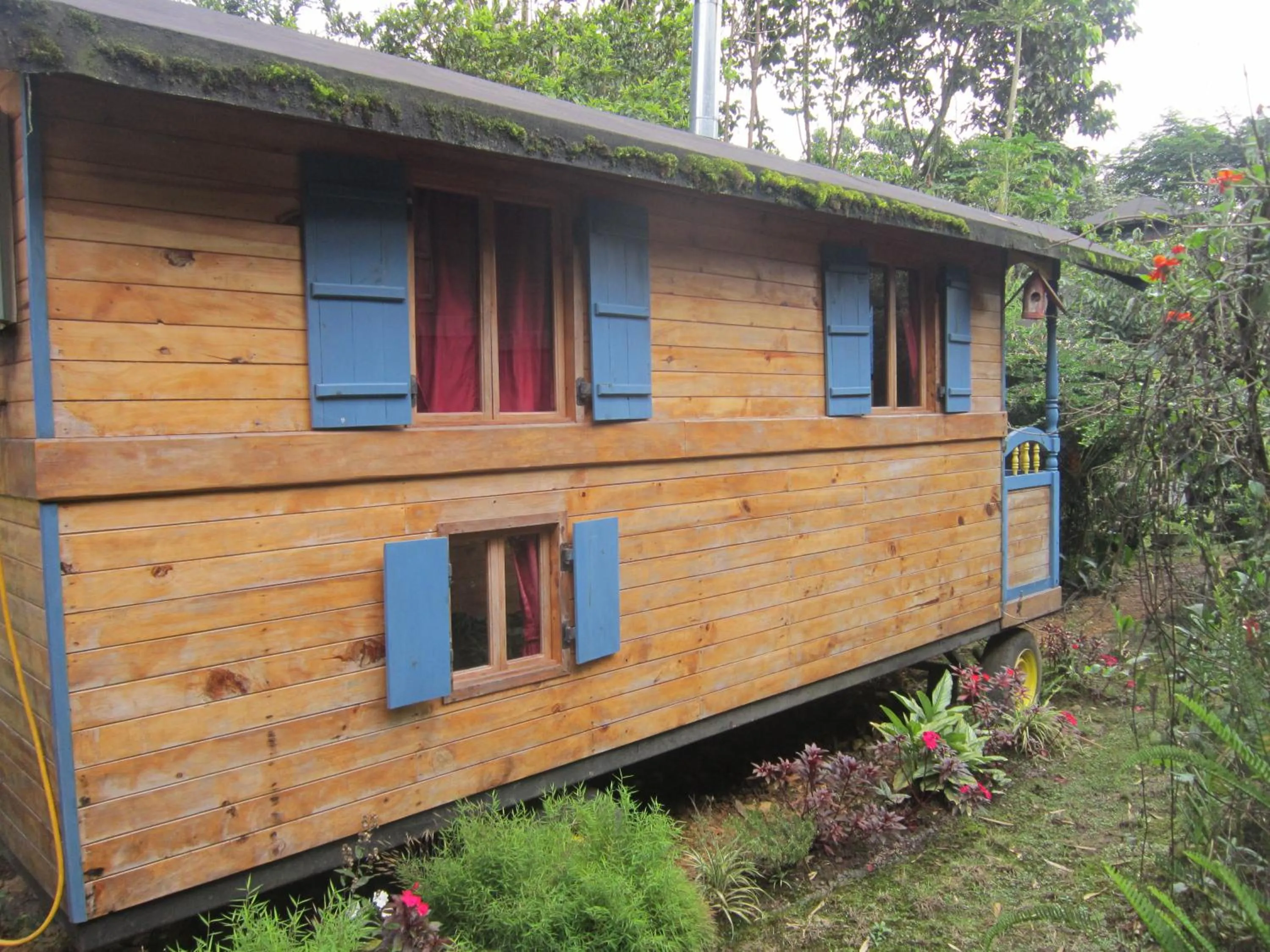 Photo of the whole room in Hosteria La Roulotte - Mindo