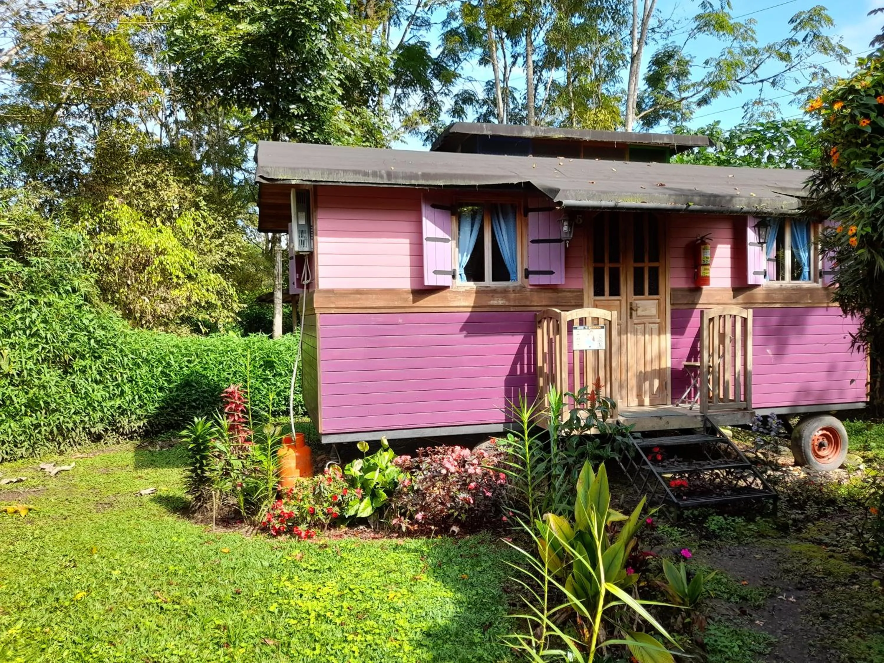 Garden view in Hosteria La Roulotte - Mindo