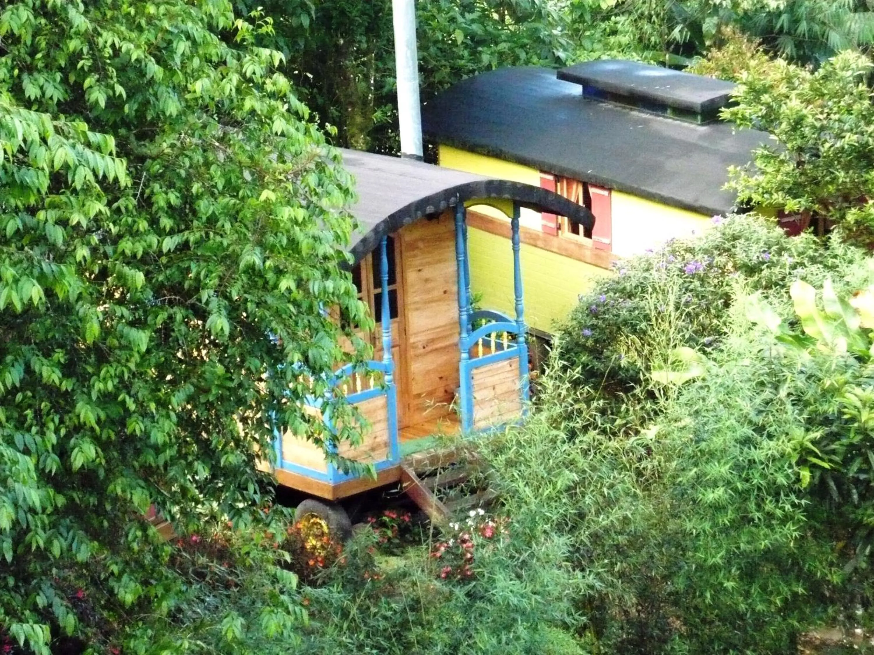 View (from property/room) in Hosteria La Roulotte - Mindo