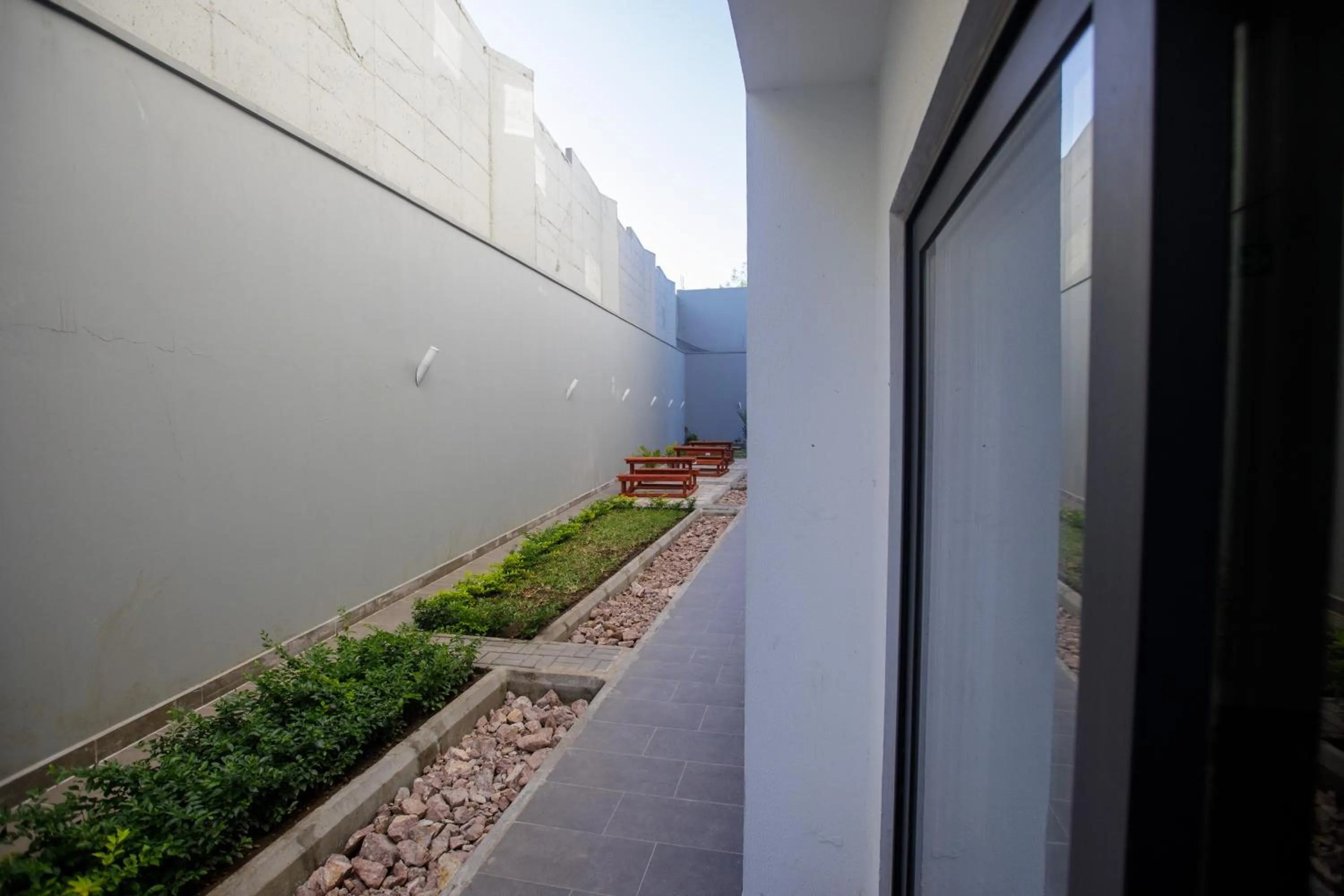 Garden in Cowork Lab Suites