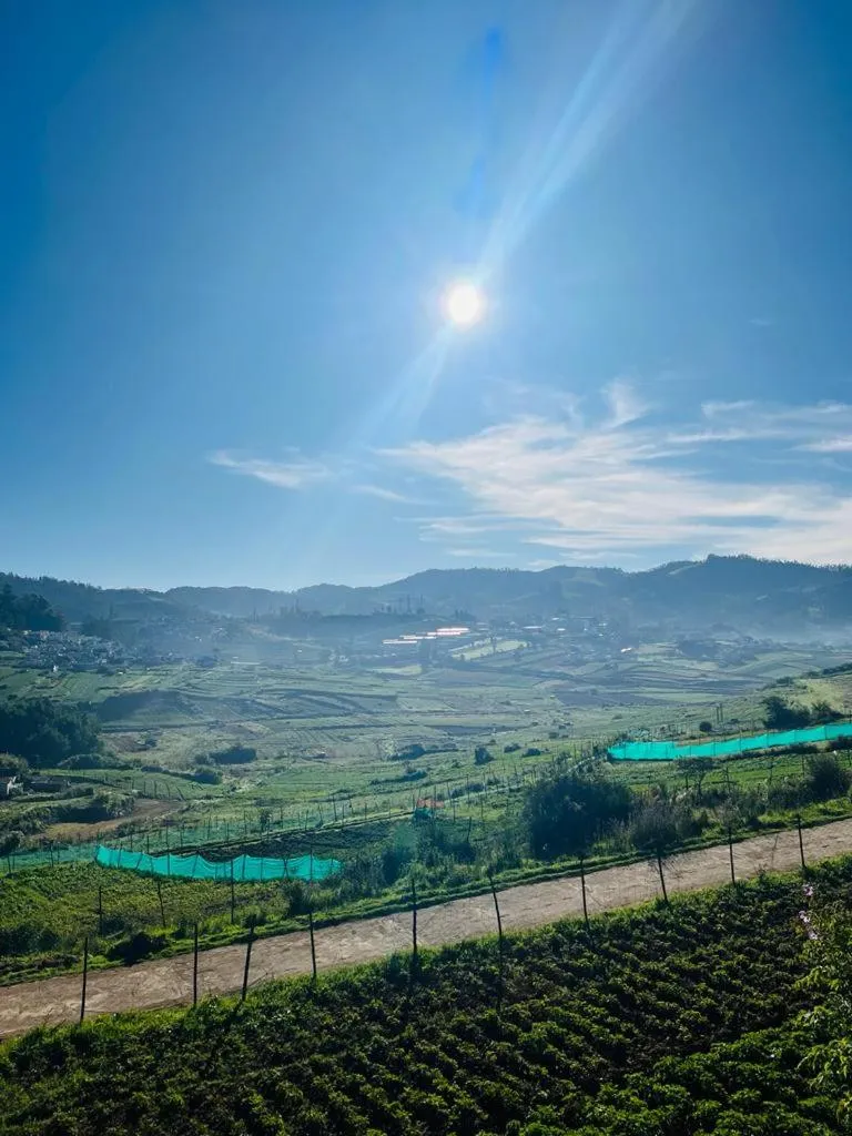 Britiish county Green home resorts ooty