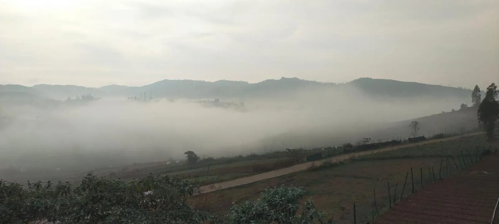 Britiish county Green home resorts ooty