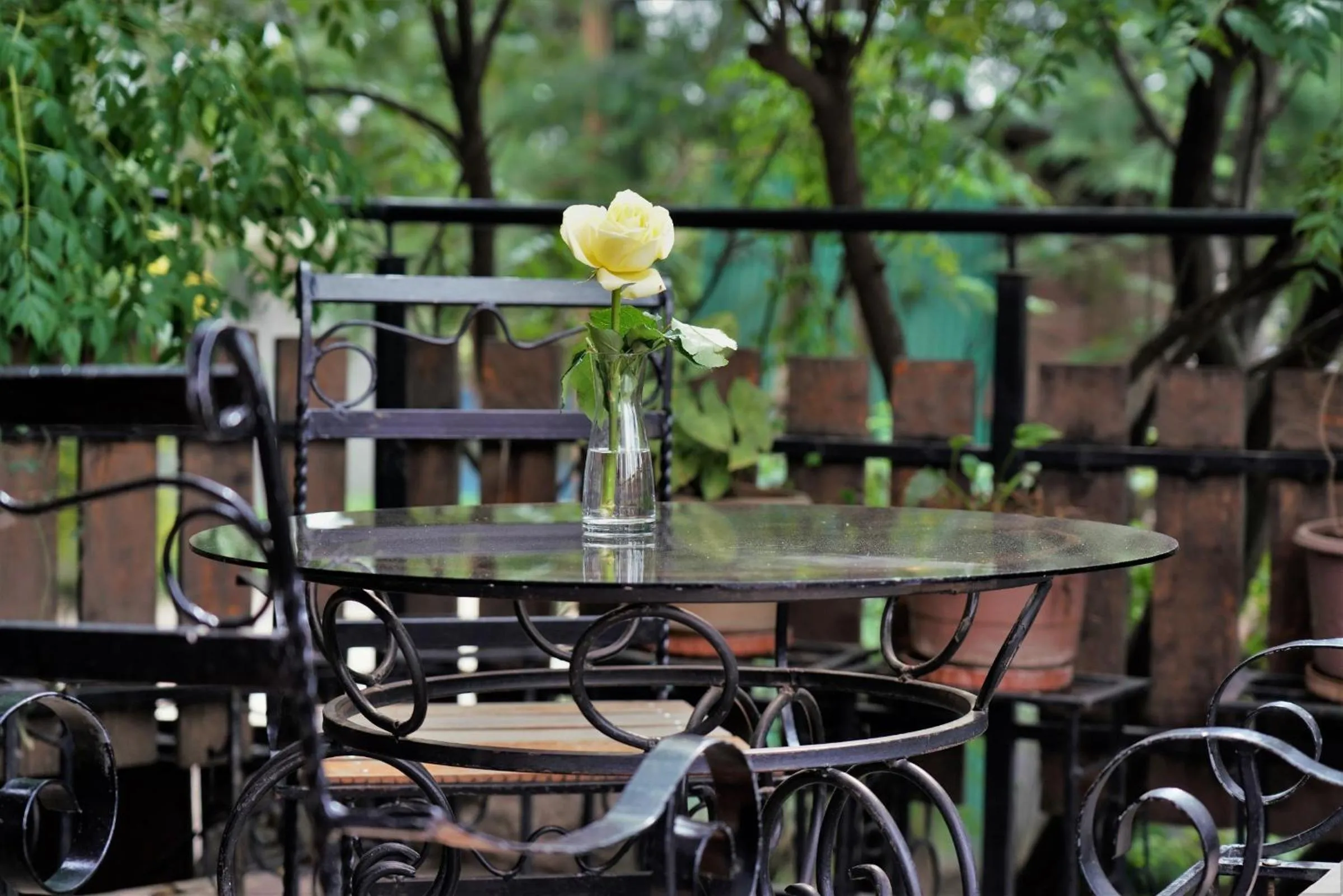 Patio in Tryst Boutique Hotel
