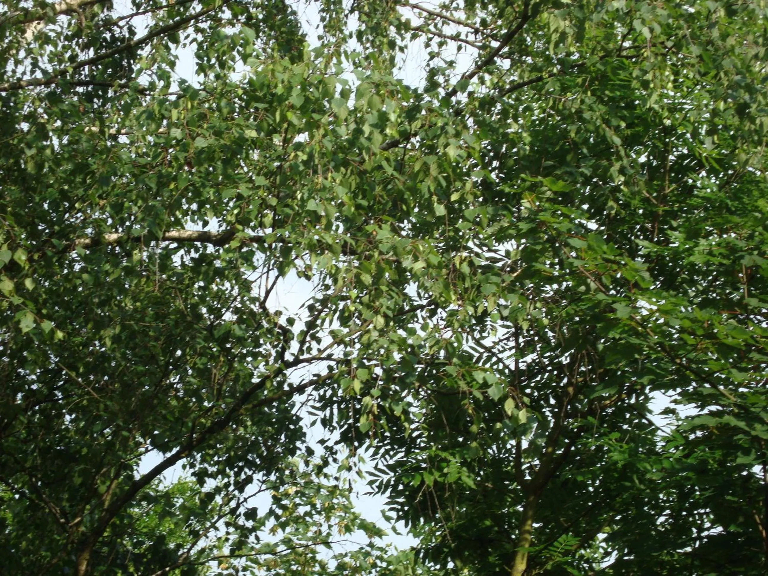 Day in Hotel Gartenhof