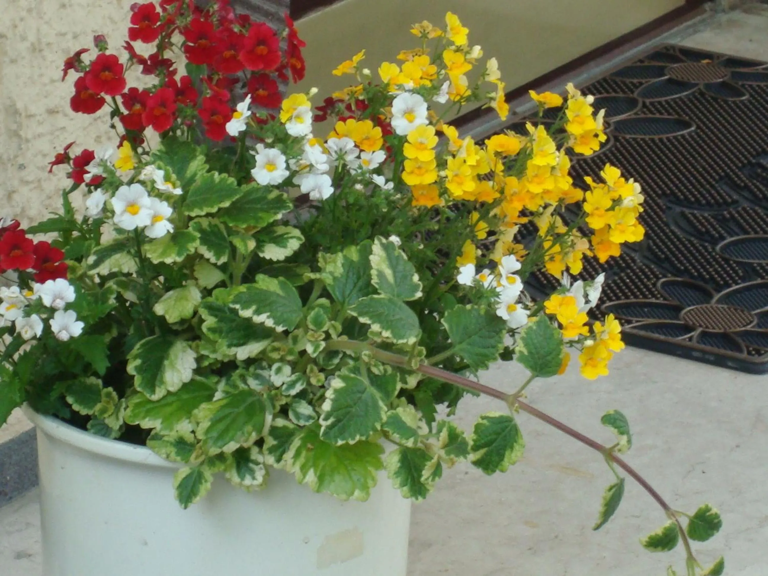 Decorative detail in Hotel Gartenhof