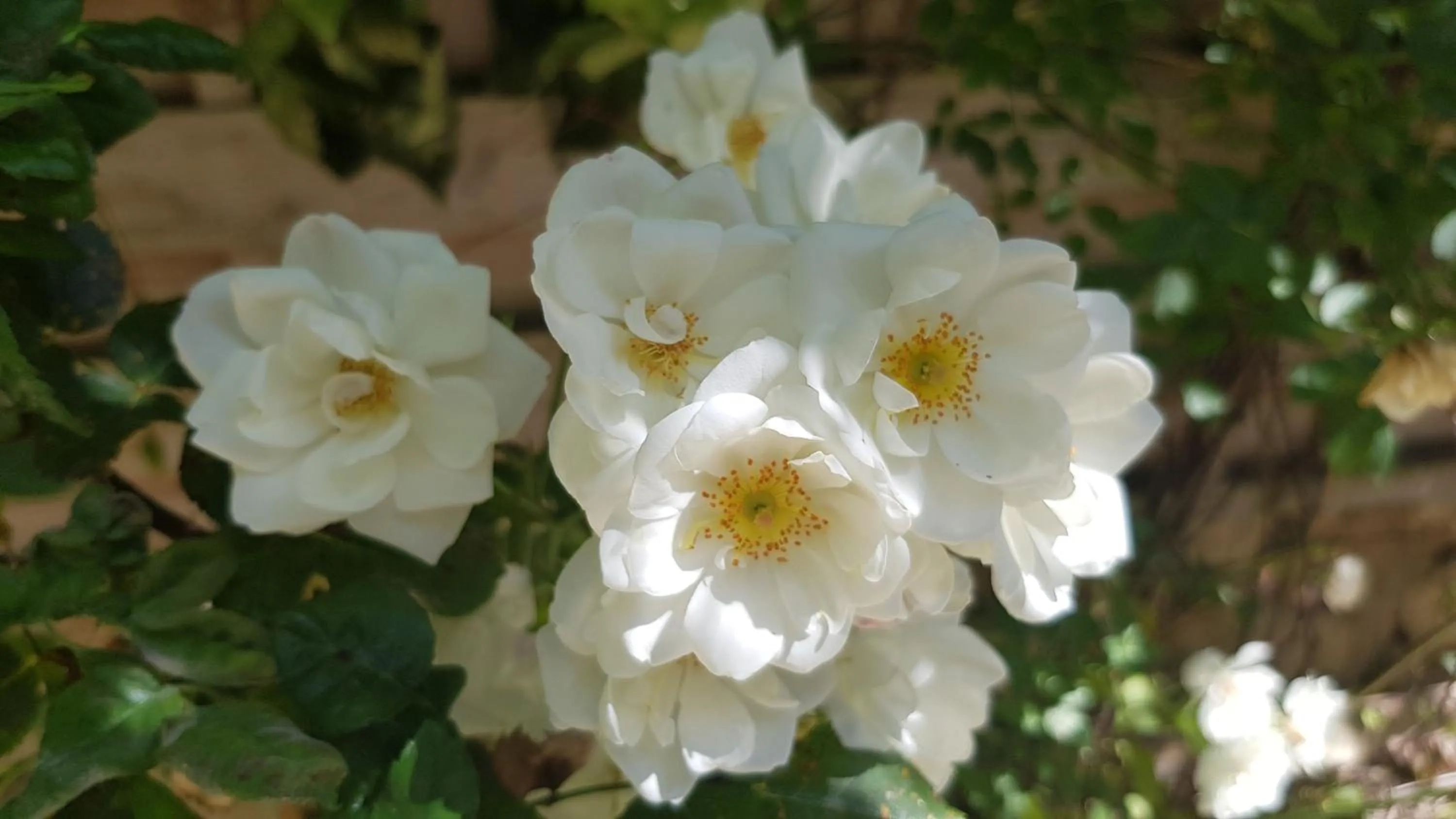 La Demeure du Pressoir