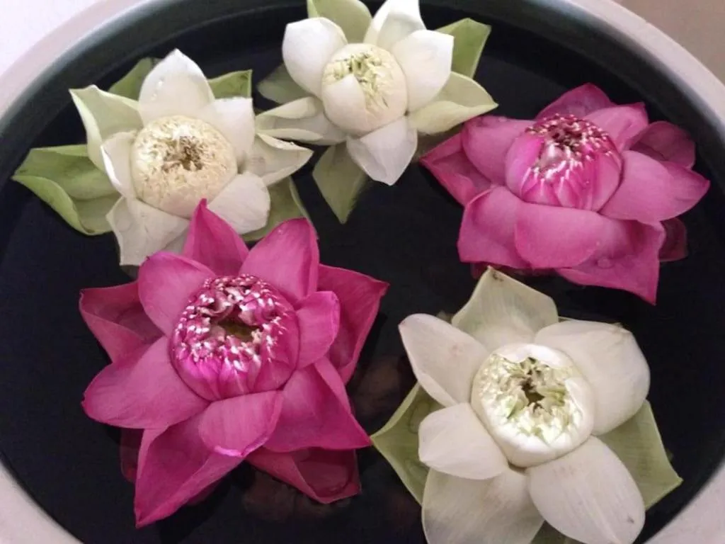 Maison Arnica Hotel & Restaurant