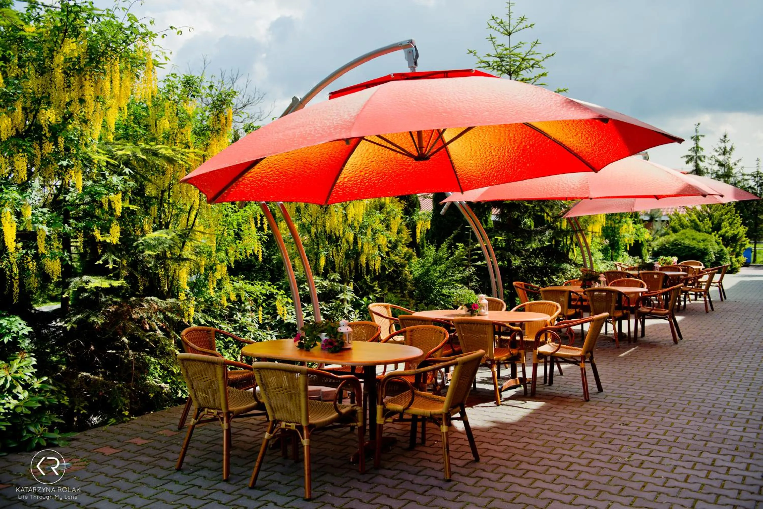 Restaurant/places to eat in Hotel Groman