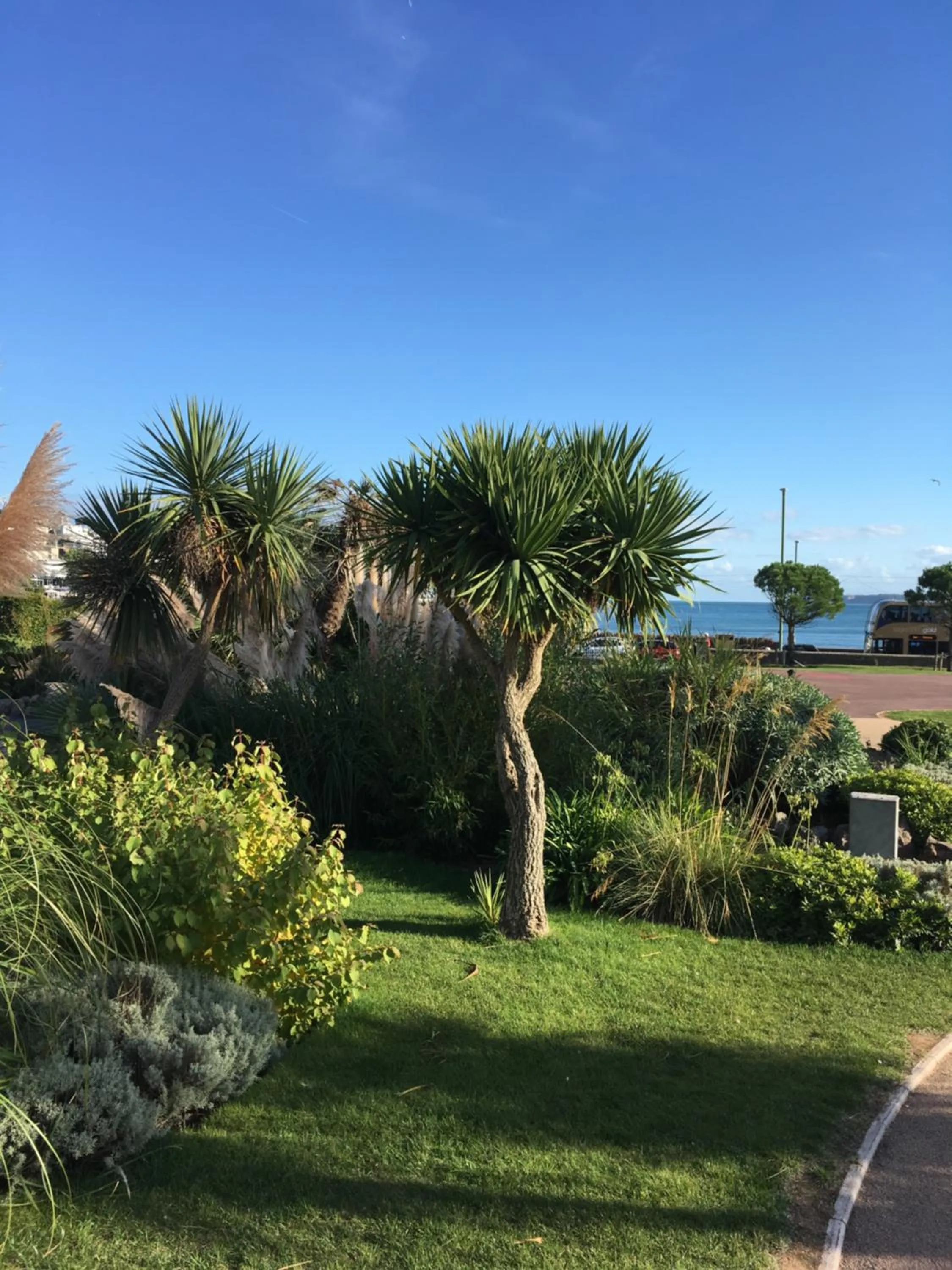 Day in Newburgh Guesthouse