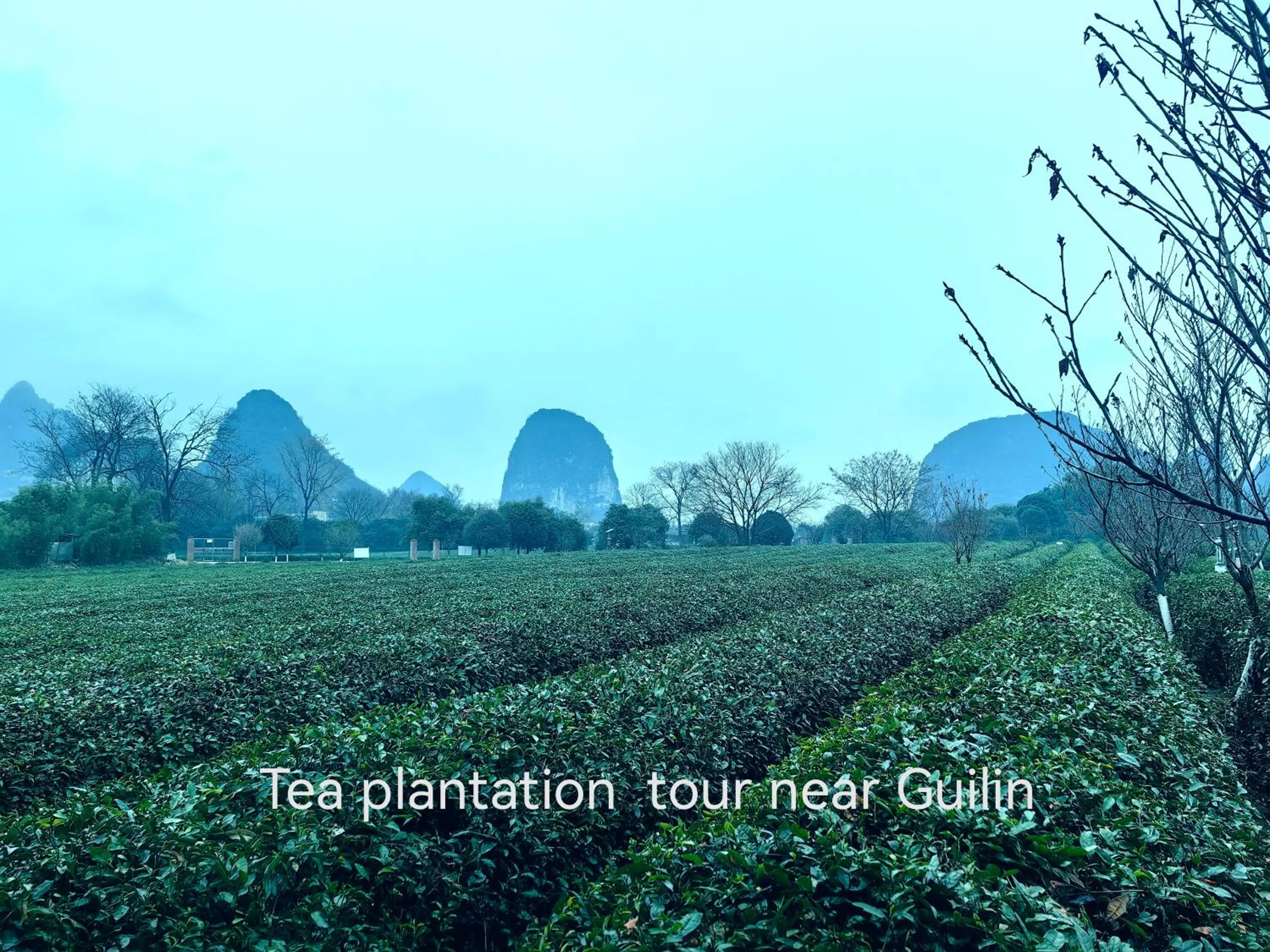 Day in Guilin Village Creek Inn -Beside the lake &Fee pick up service over three nights