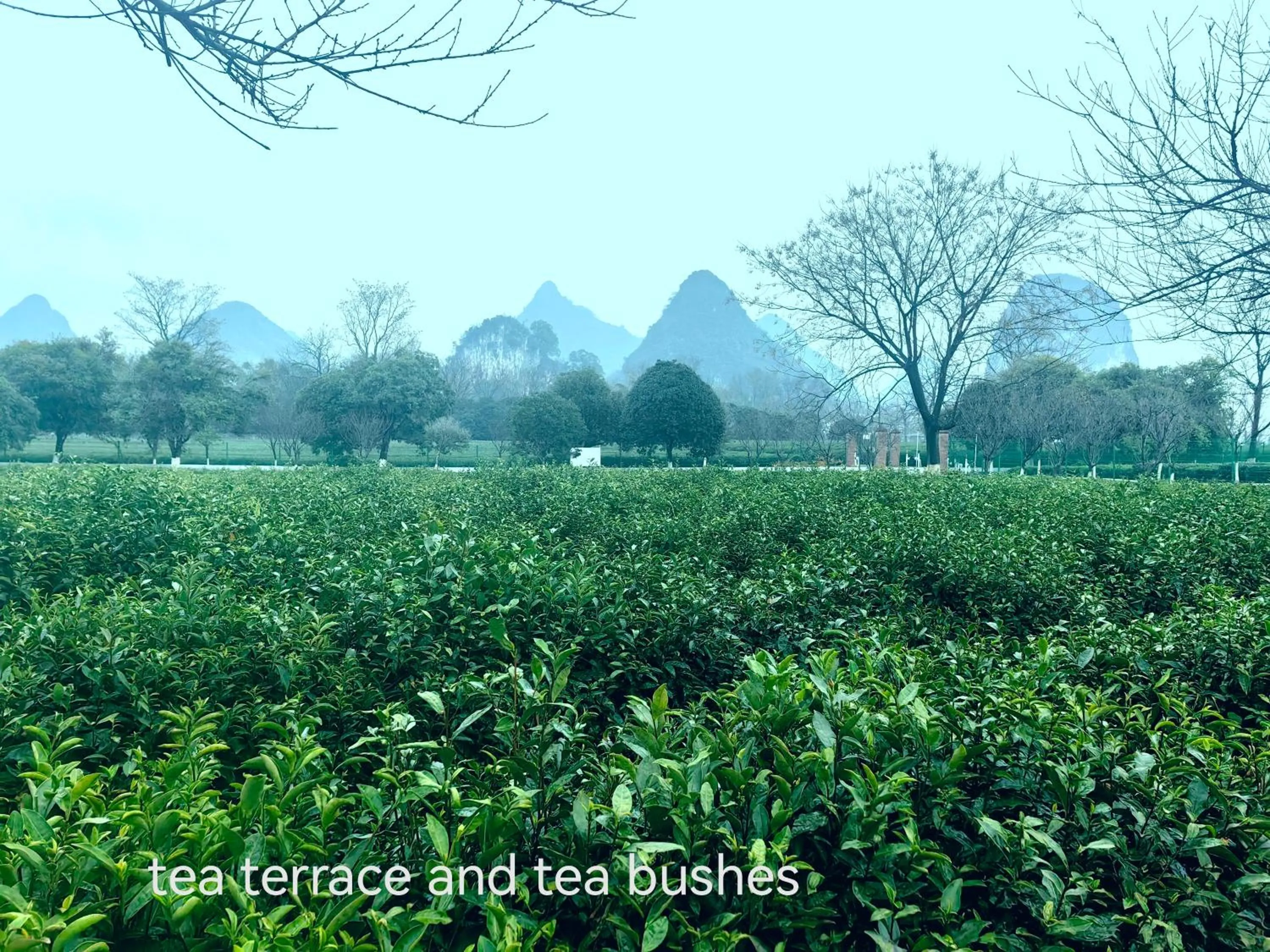 Spring in Guilin Village Creek Inn -Beside the lake &Fee pick up service over three nights
