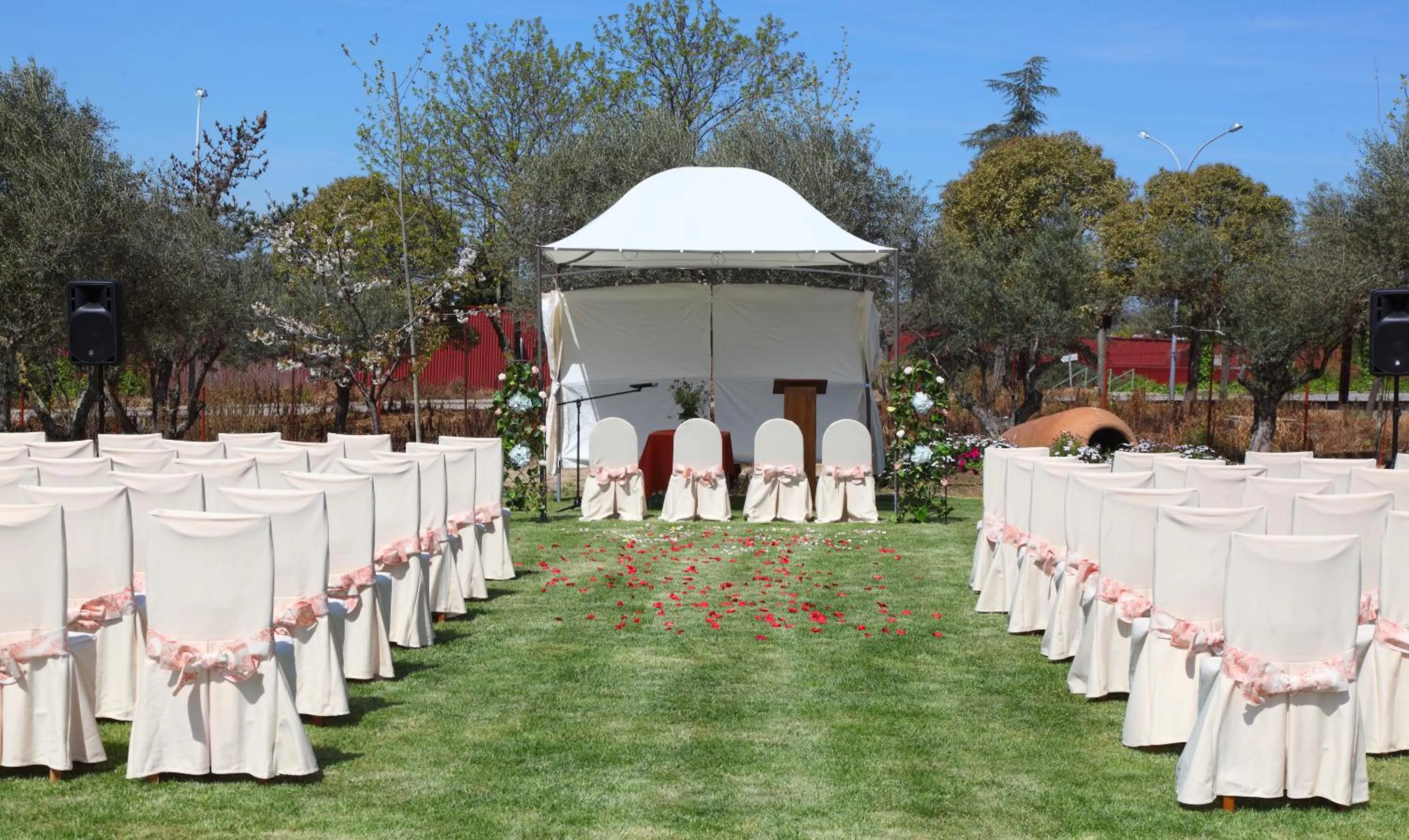 Garden in Hotel San Cristobal