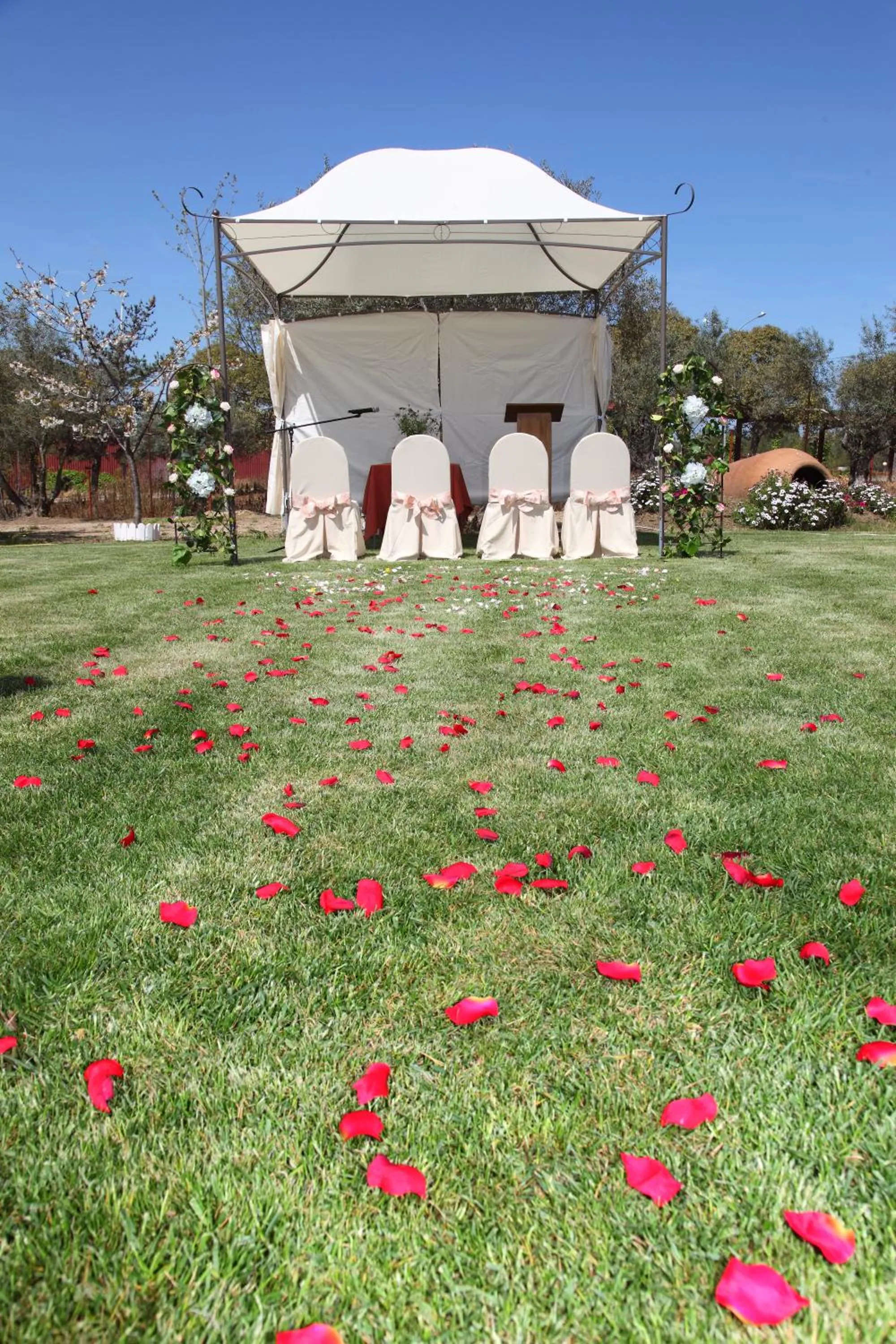 Garden in Hotel San Cristobal
