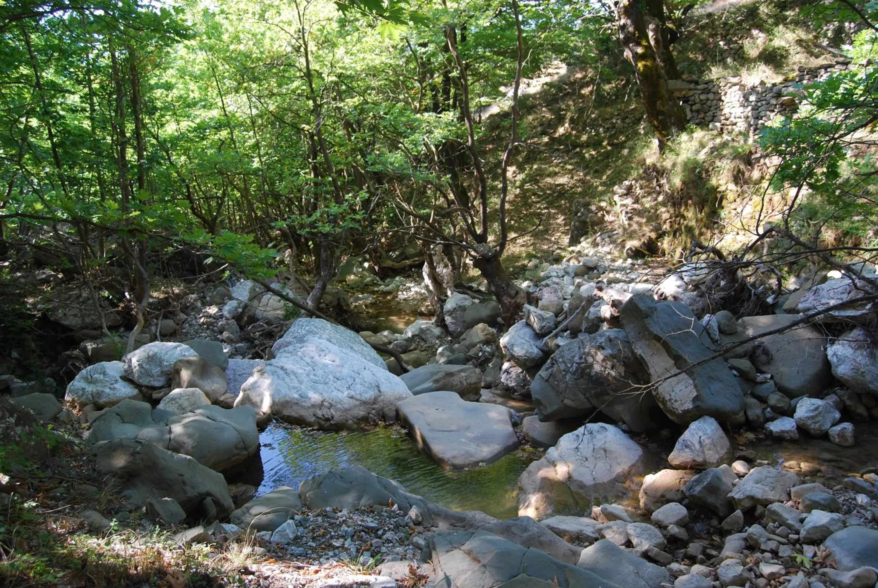 Area and facilities in Dryades Guesthouse