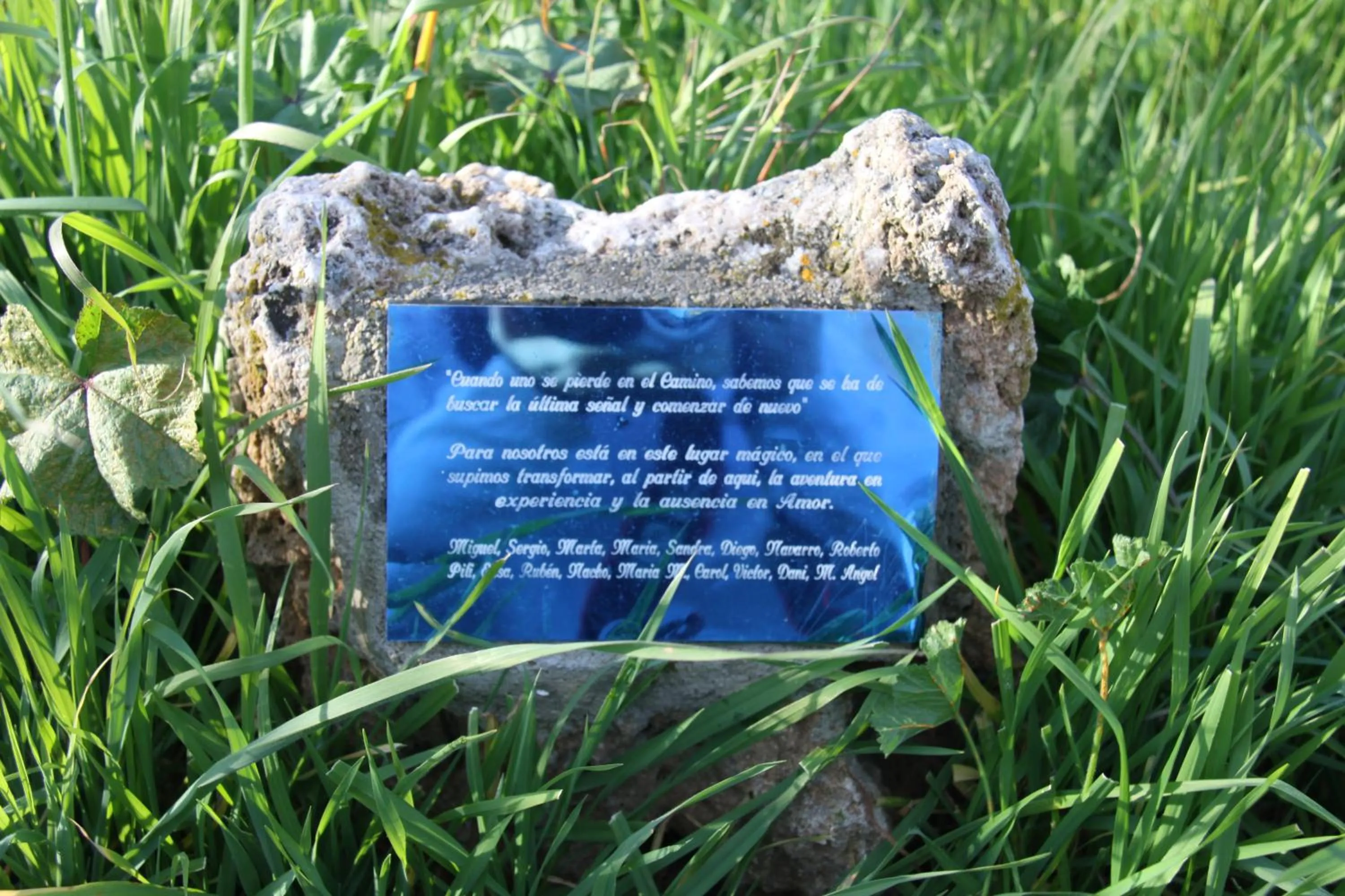 Other in Venecia Bed&Breakfast