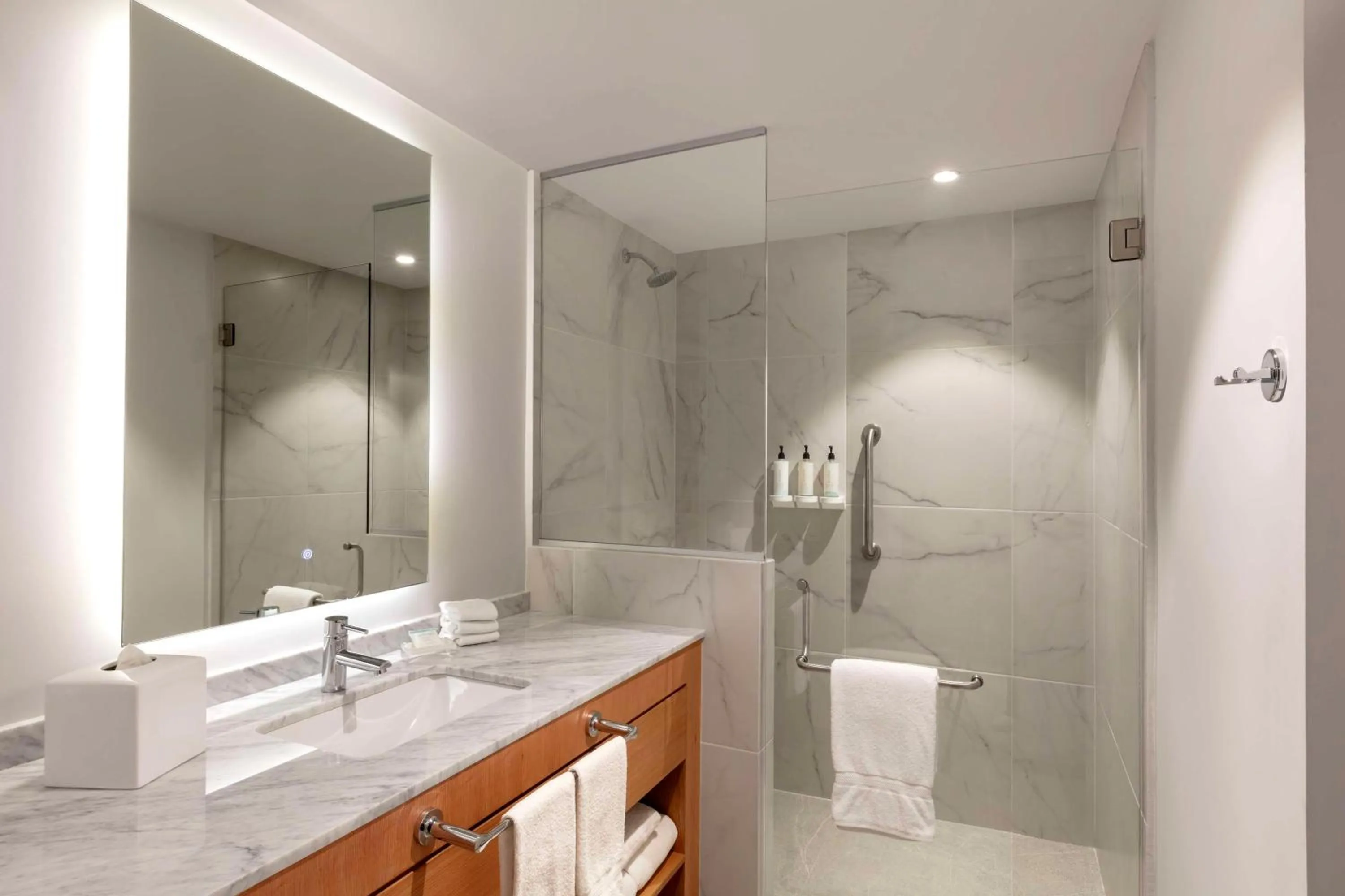 Bathroom in Hilton Garden Inn Guadalajara Airport