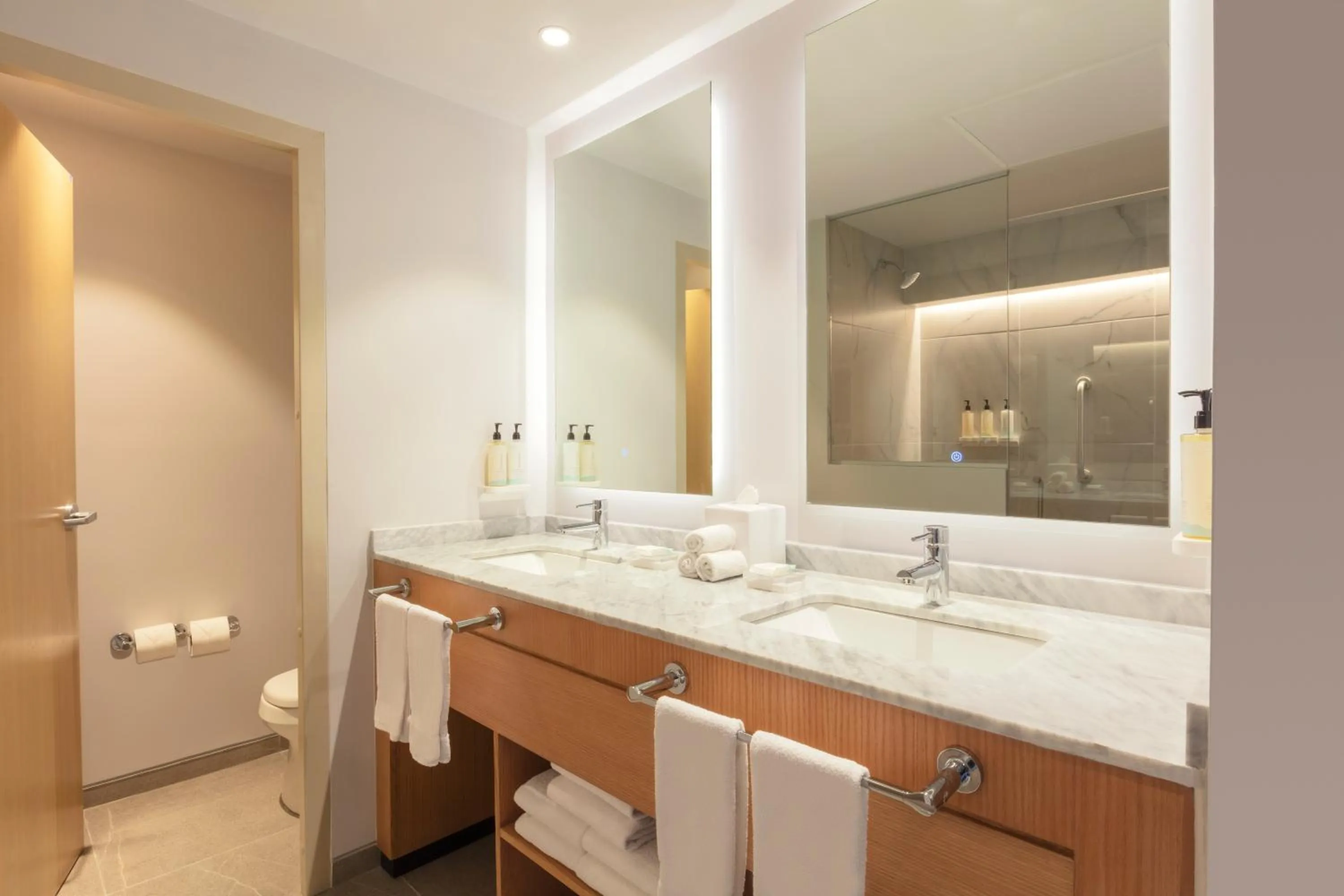 Bathroom in Hilton Garden Inn Guadalajara Airport