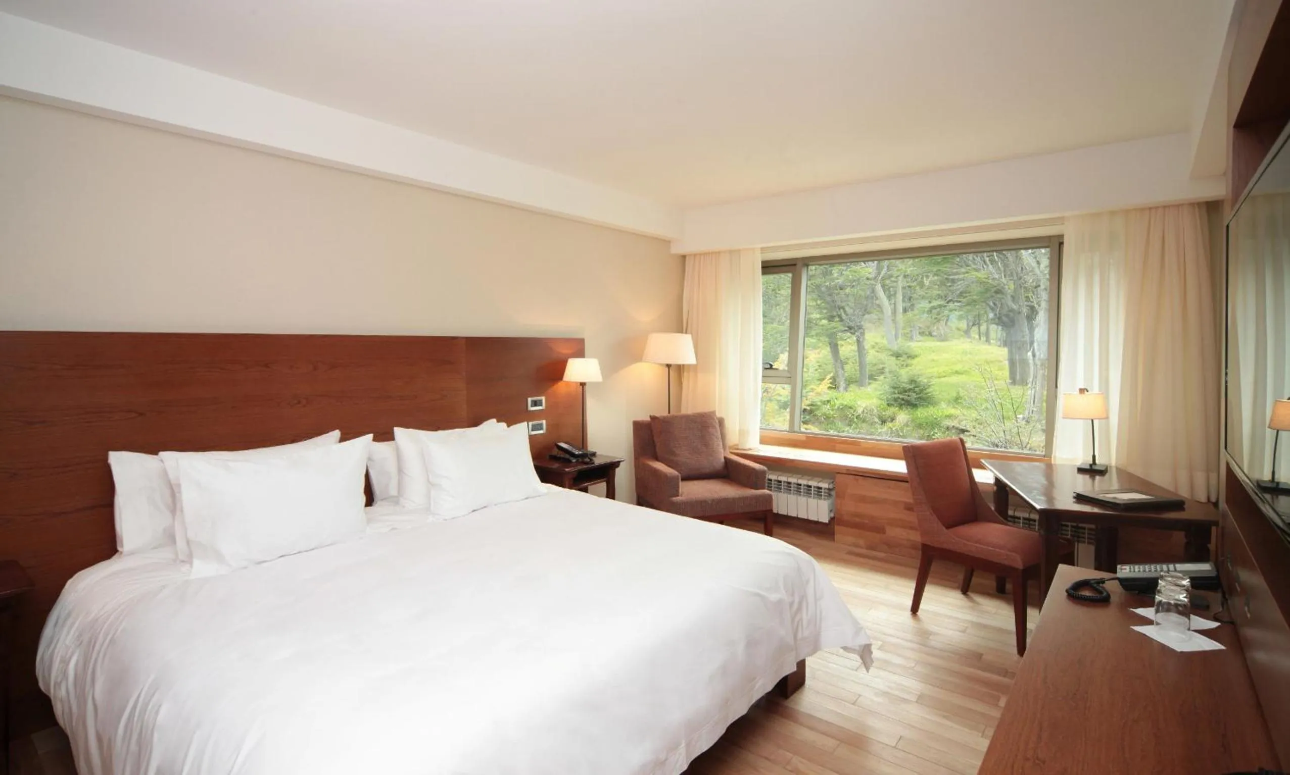 Photo of the whole room, Bed in Arakur Ushuaia Resort & Spa