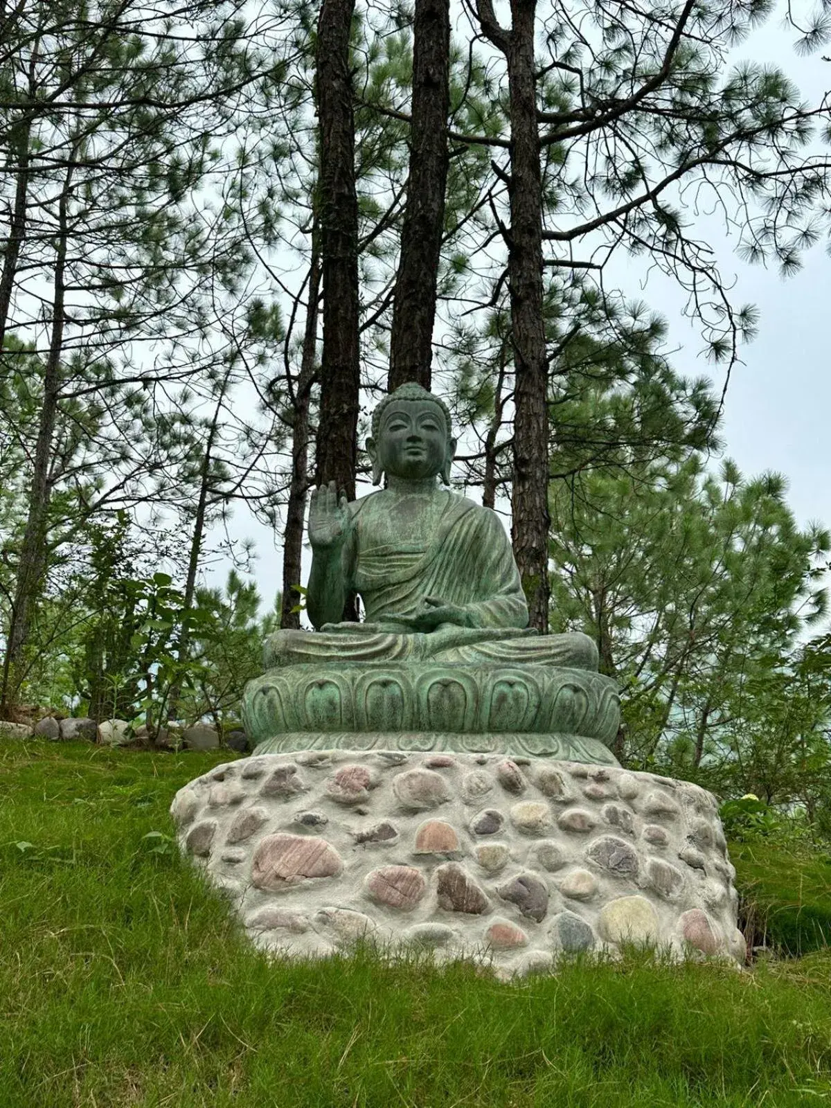 View (from property/room) in Chillaru Spa & Resort View (from property/room) in Chillaru Spa & Resort