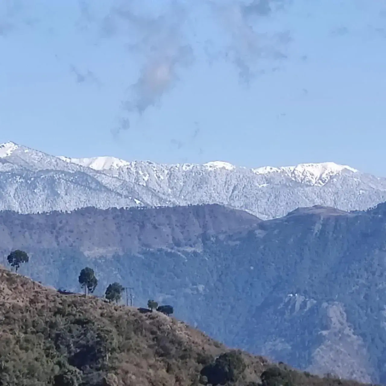 View (from property/room) in Chillaru Spa & Resort View (from property/room) in Chillaru Spa & Resort