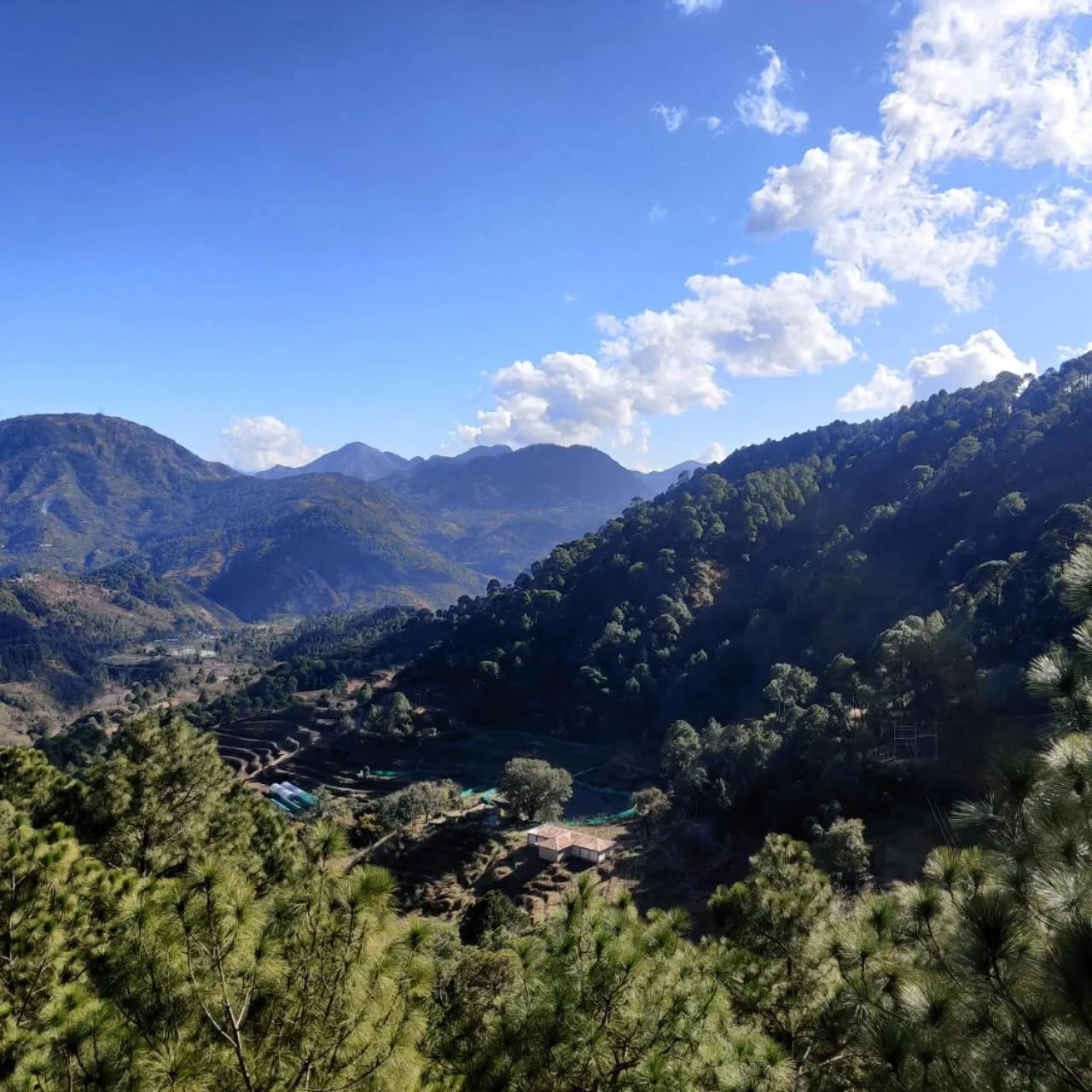 View (from property/room) in Chillaru Spa & Resort