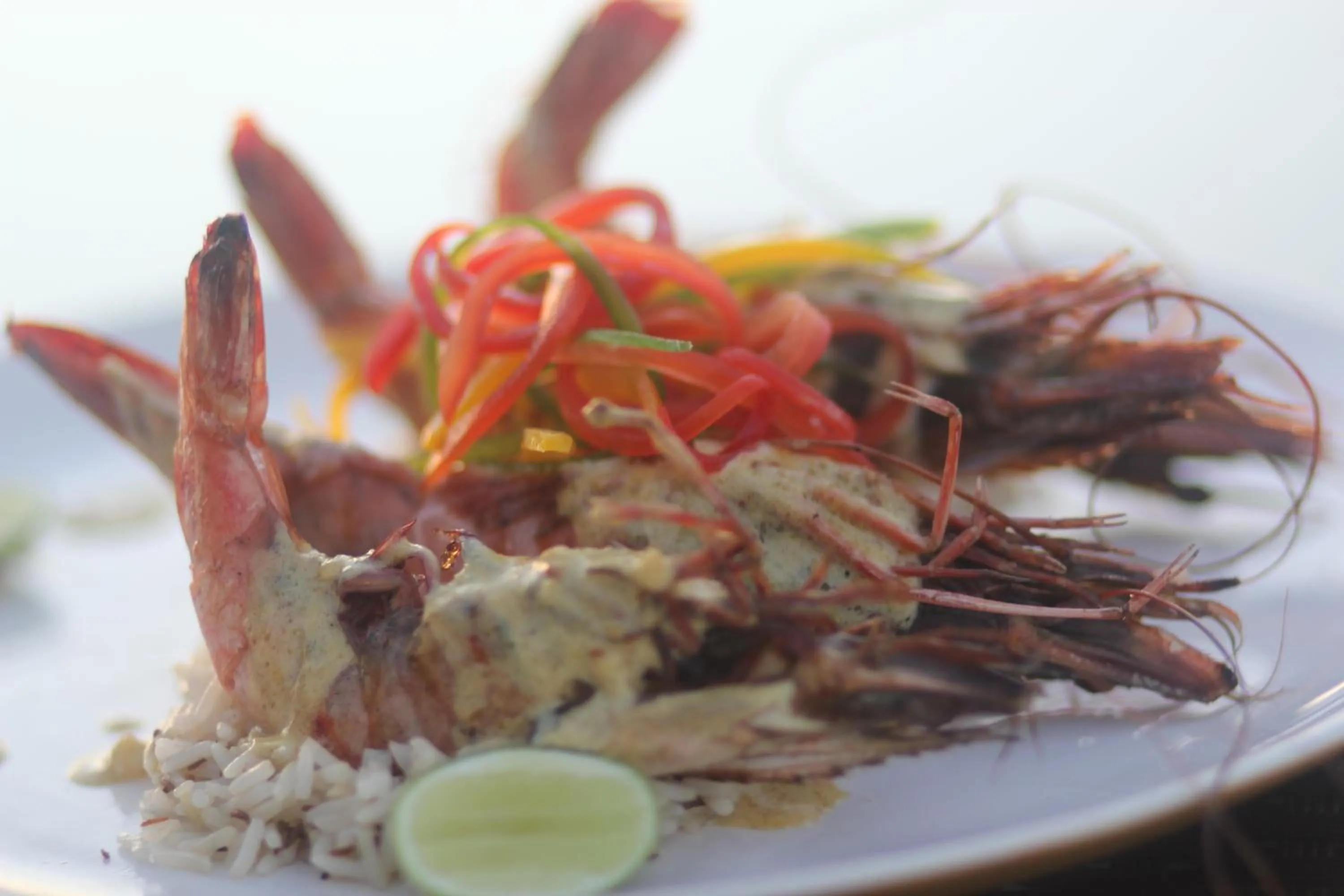 Food in Best Western Elyon Colombo