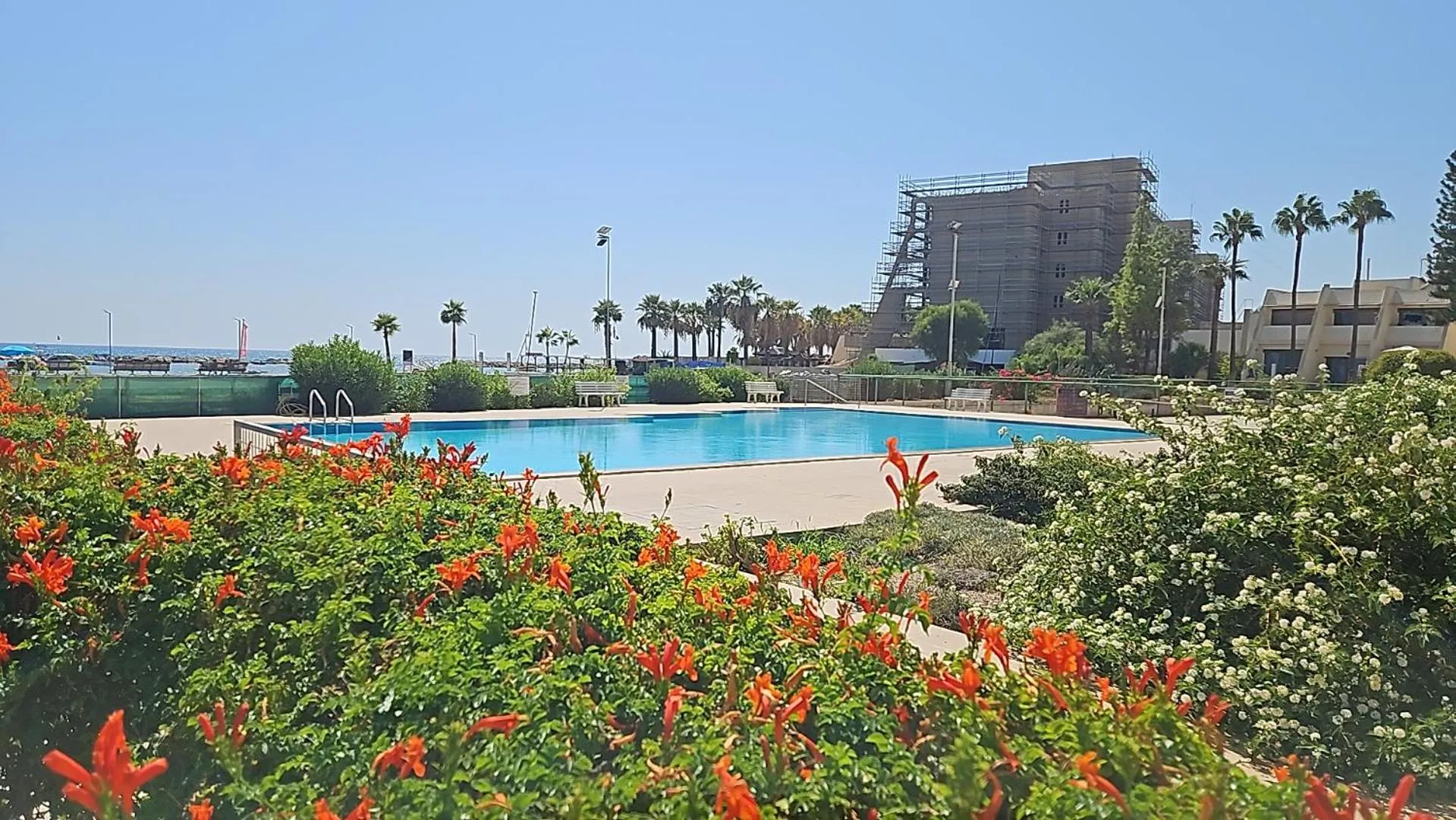 Swimming pool in Julie's beach house