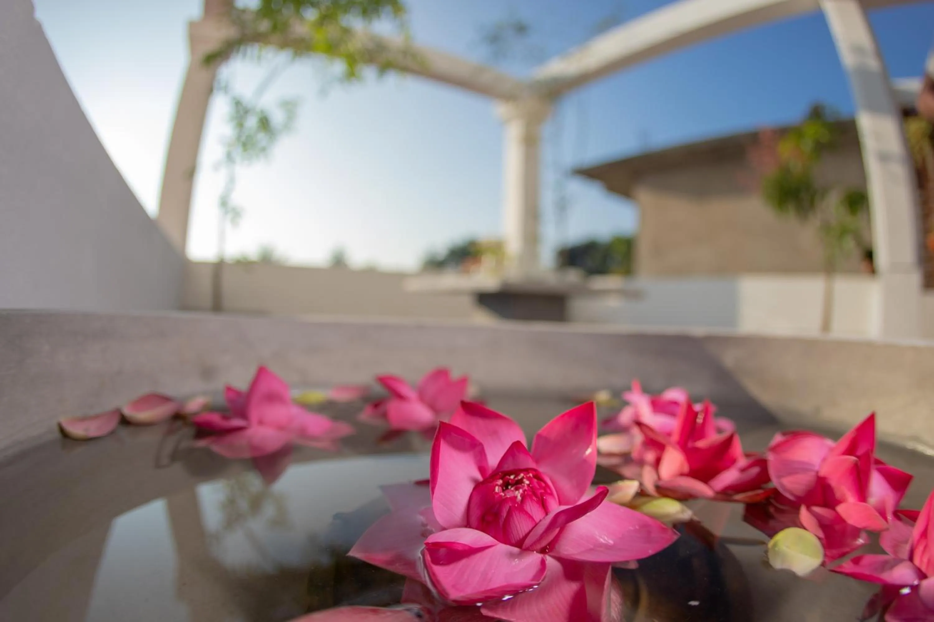 Garden in Golden Shower Inn