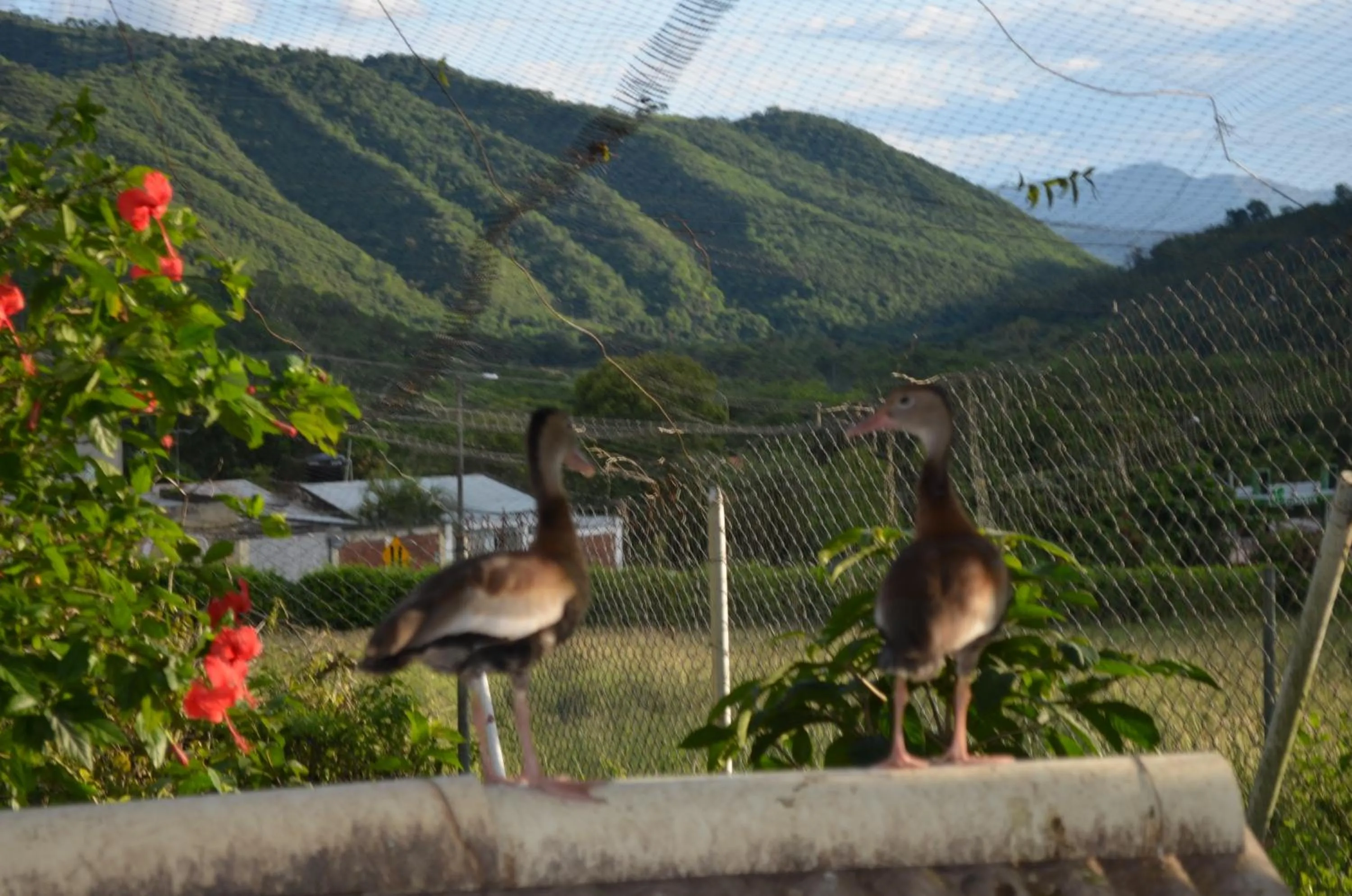 Natural landscape in Finca Hotel Villaruth