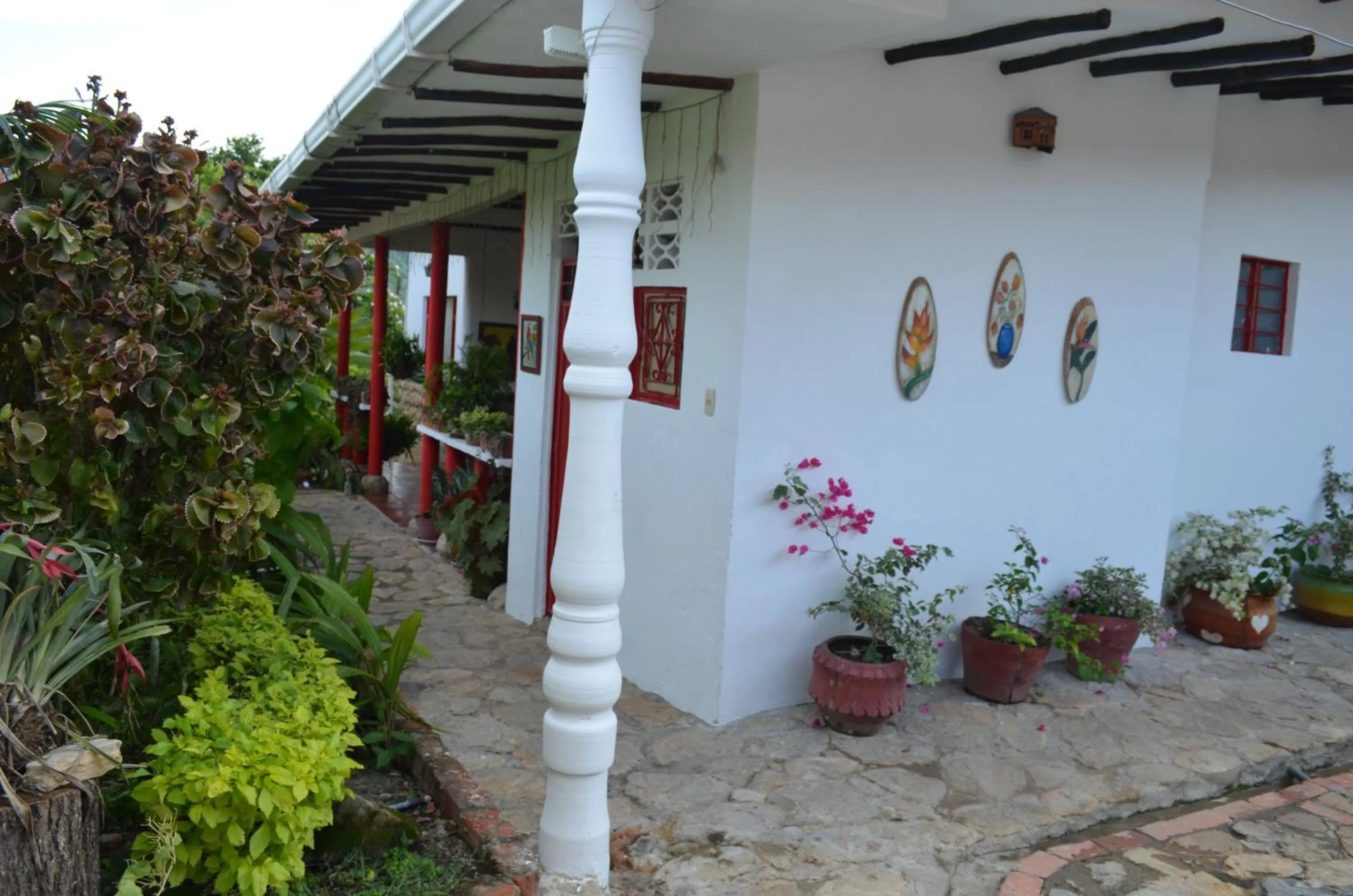 Garden view in Finca Hotel Villaruth