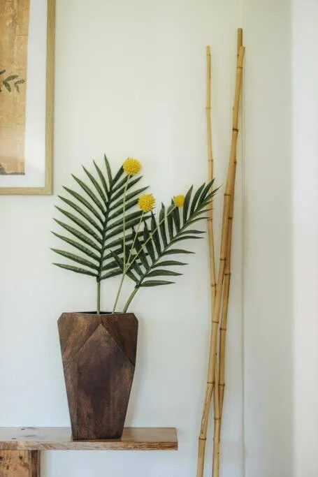 The Kumu House