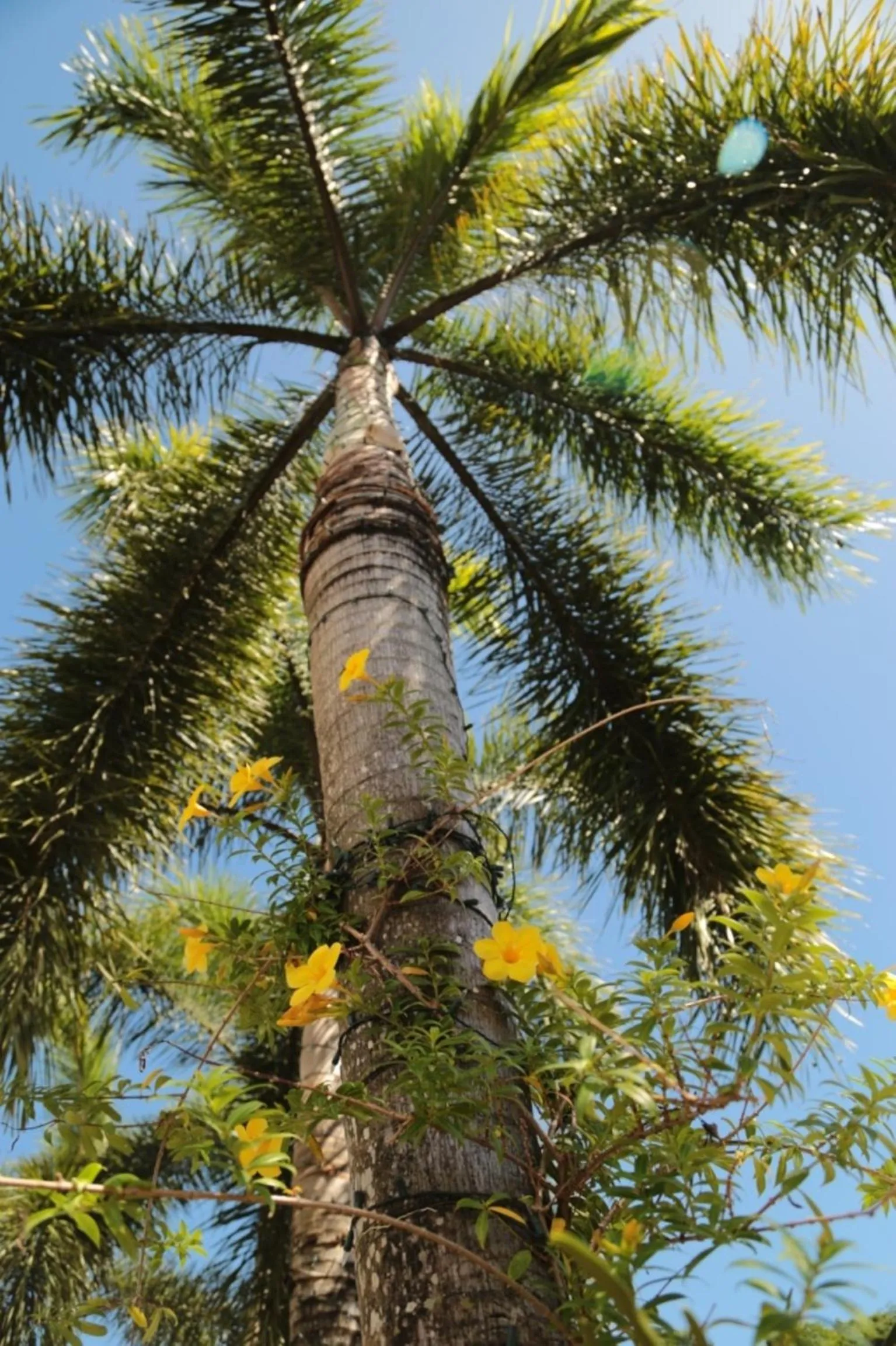 Other in One Crescent Place Hotel