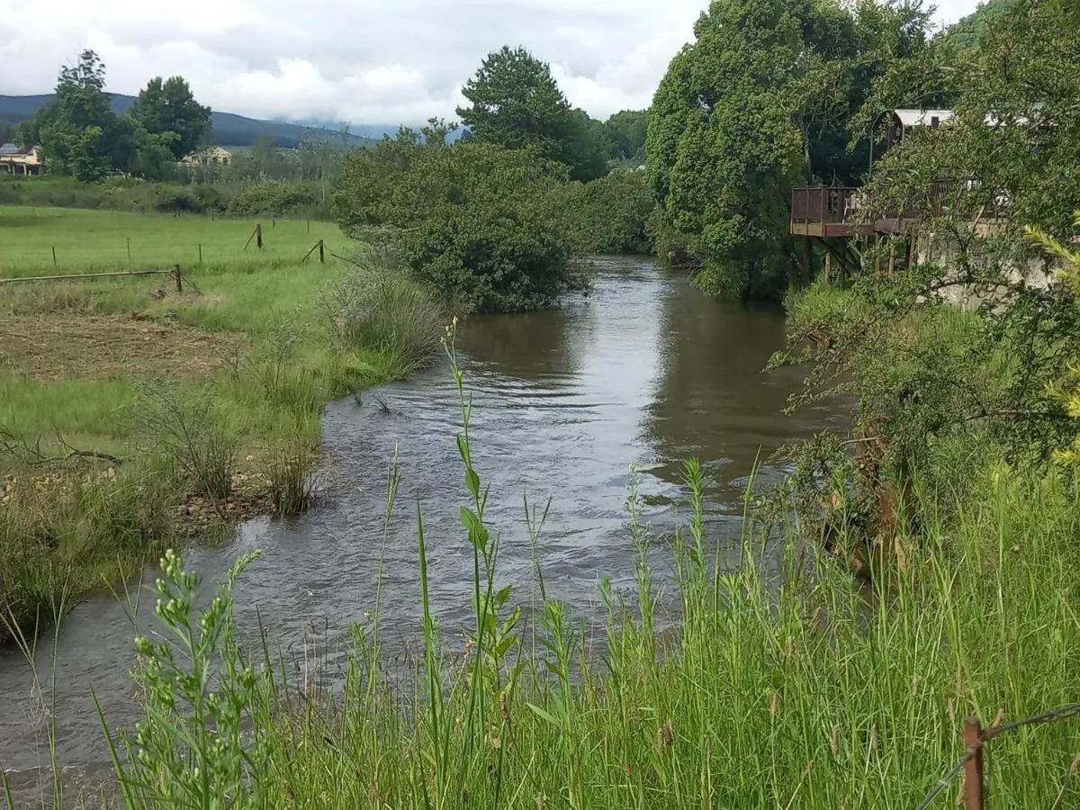 River view in Sabie River Camp