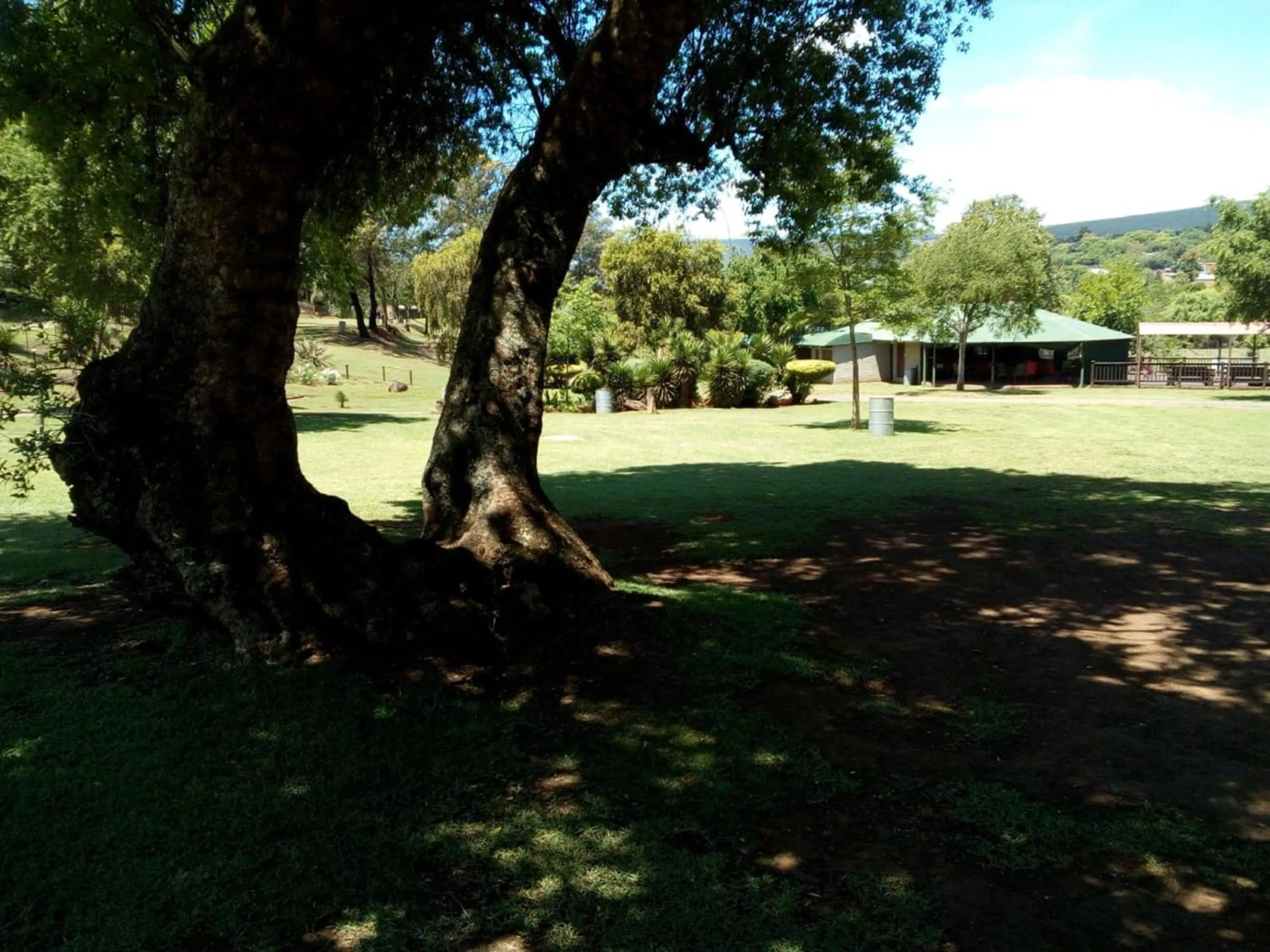 Natural landscape in Sabie River Camp