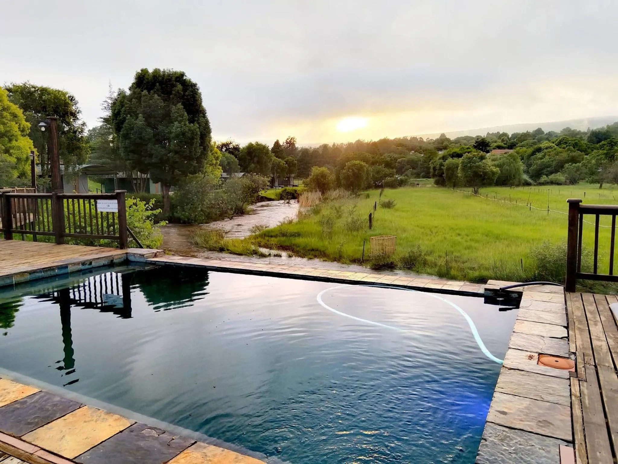 Pool view in Sabie River Camp