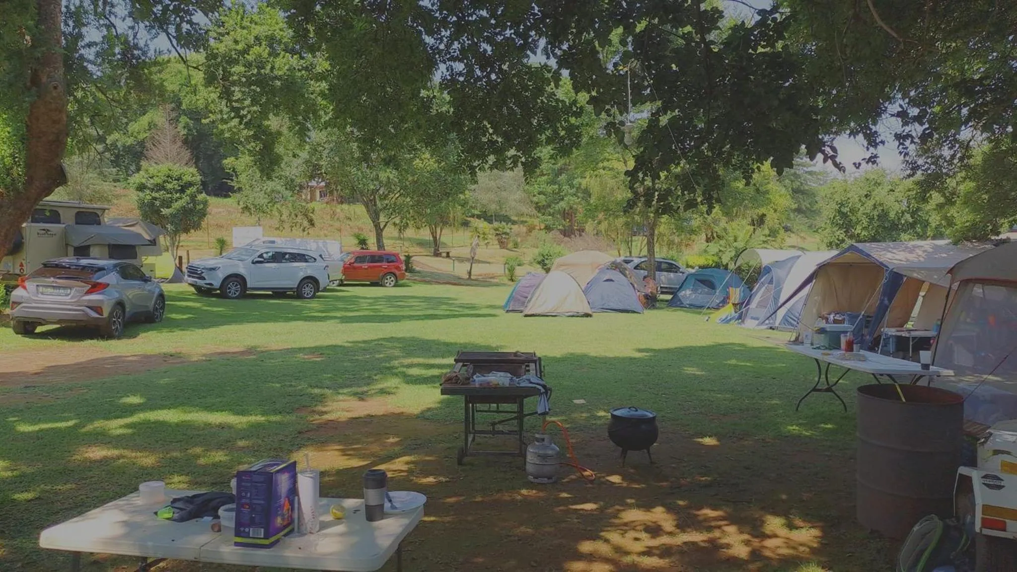 Garden in Sabie River Camp