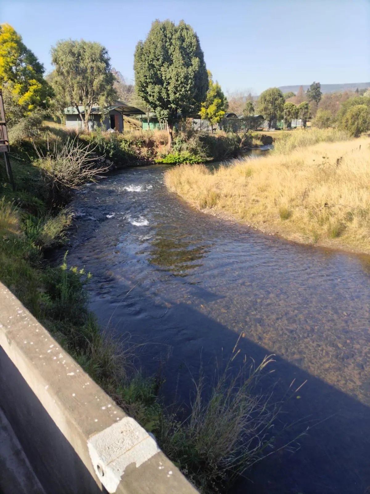 River view in Sabie River Camp