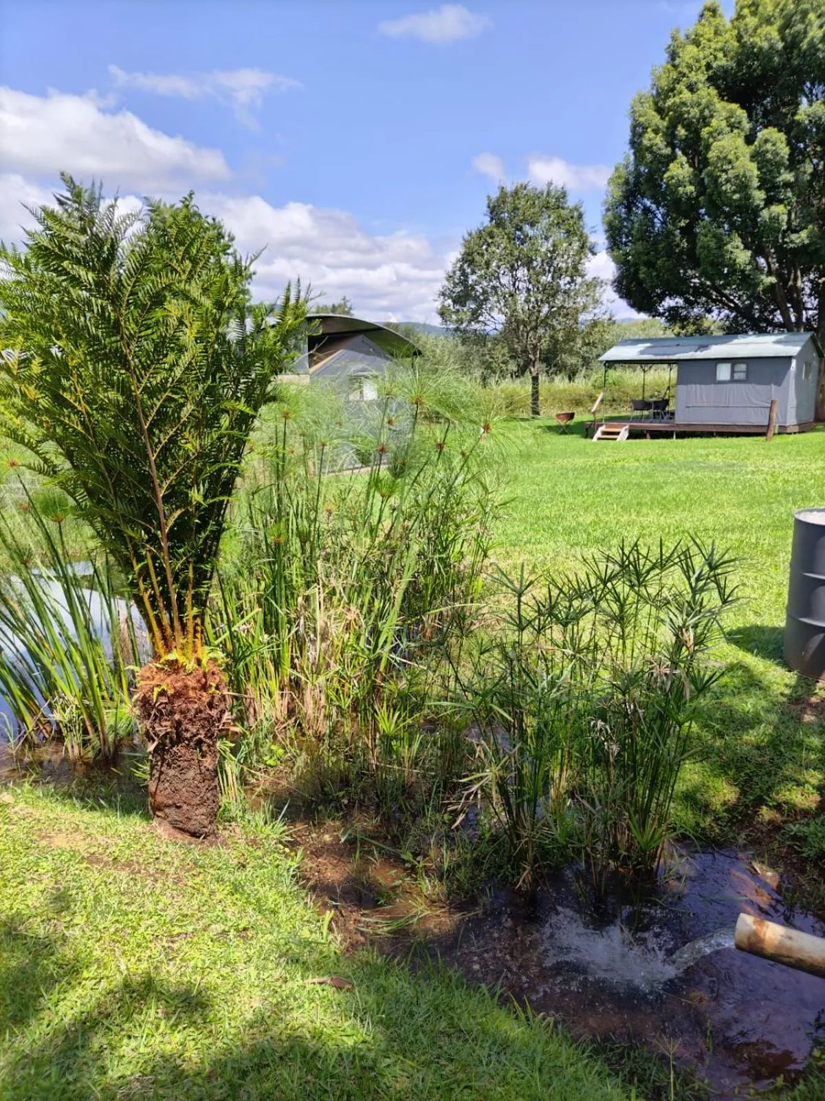 Sabie River Camp