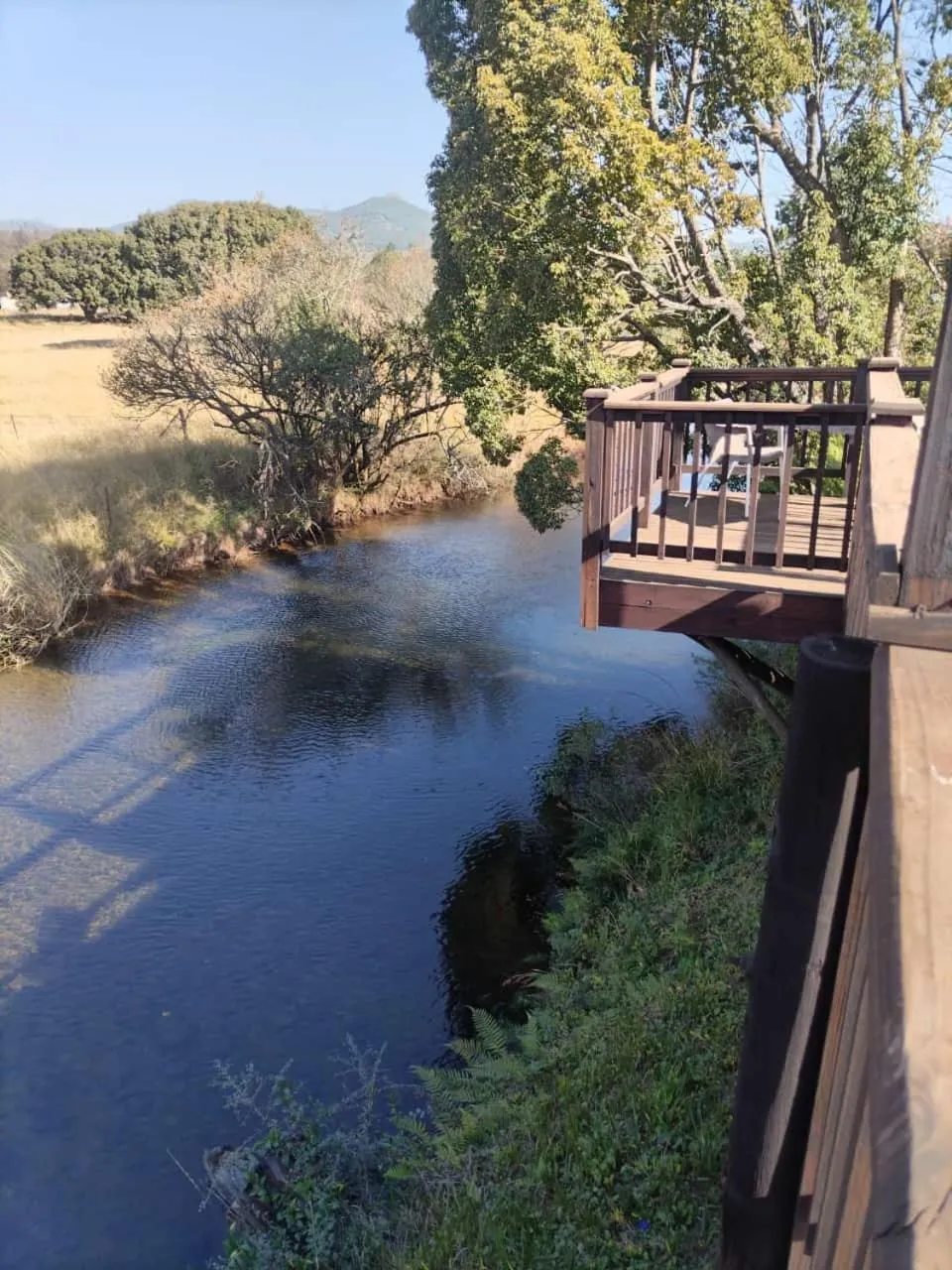 River view in Sabie River Camp