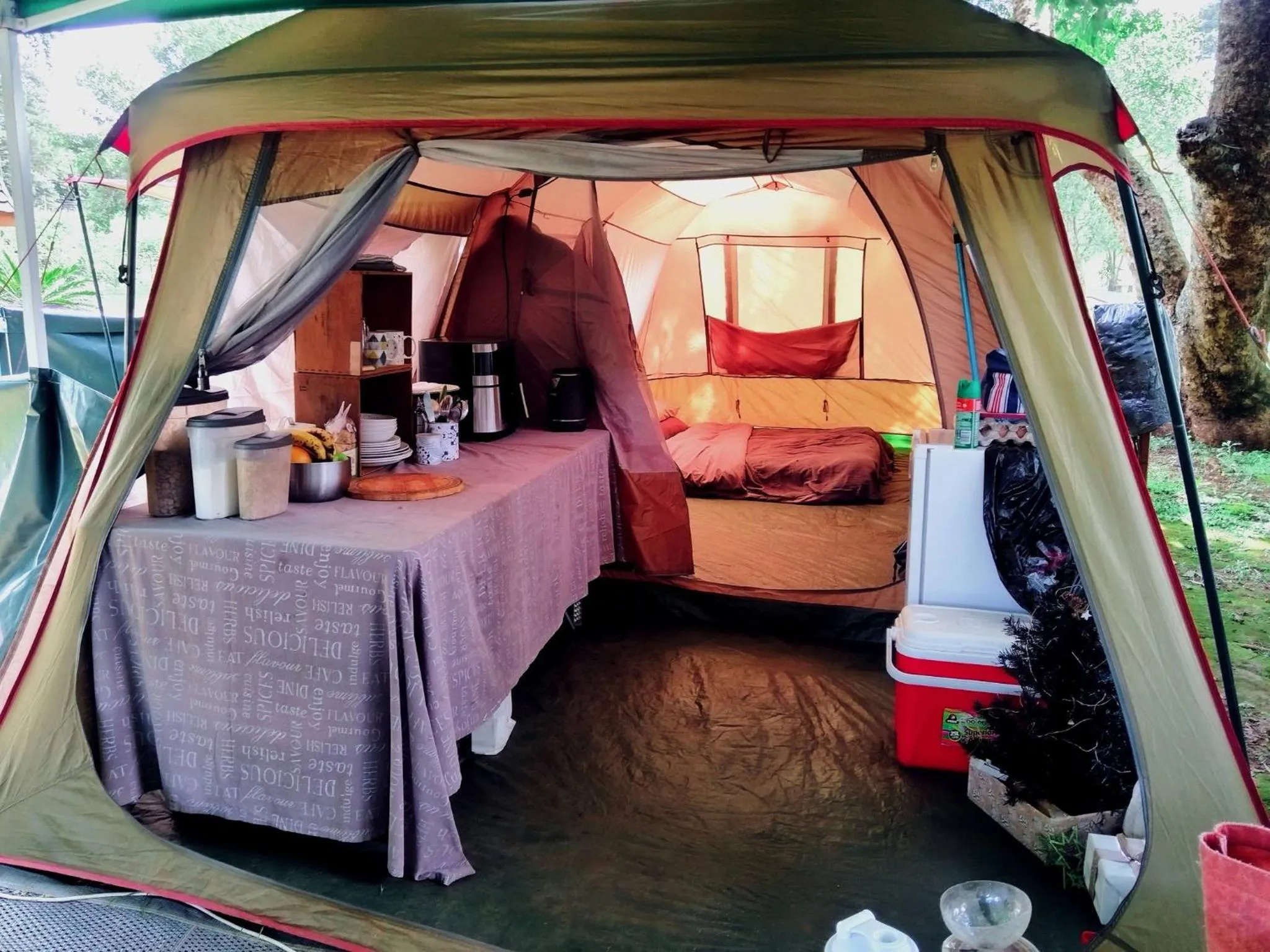 Photo of the whole room, Bed in Sabie River Camp